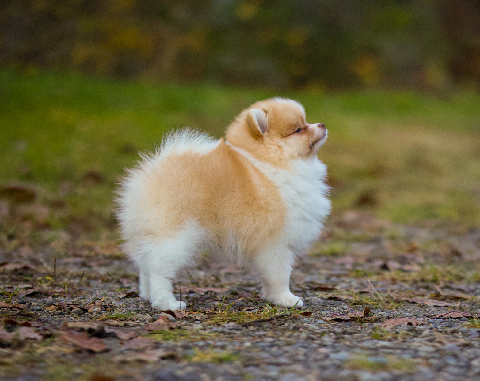 Eat A Lemon Eat A Lemon