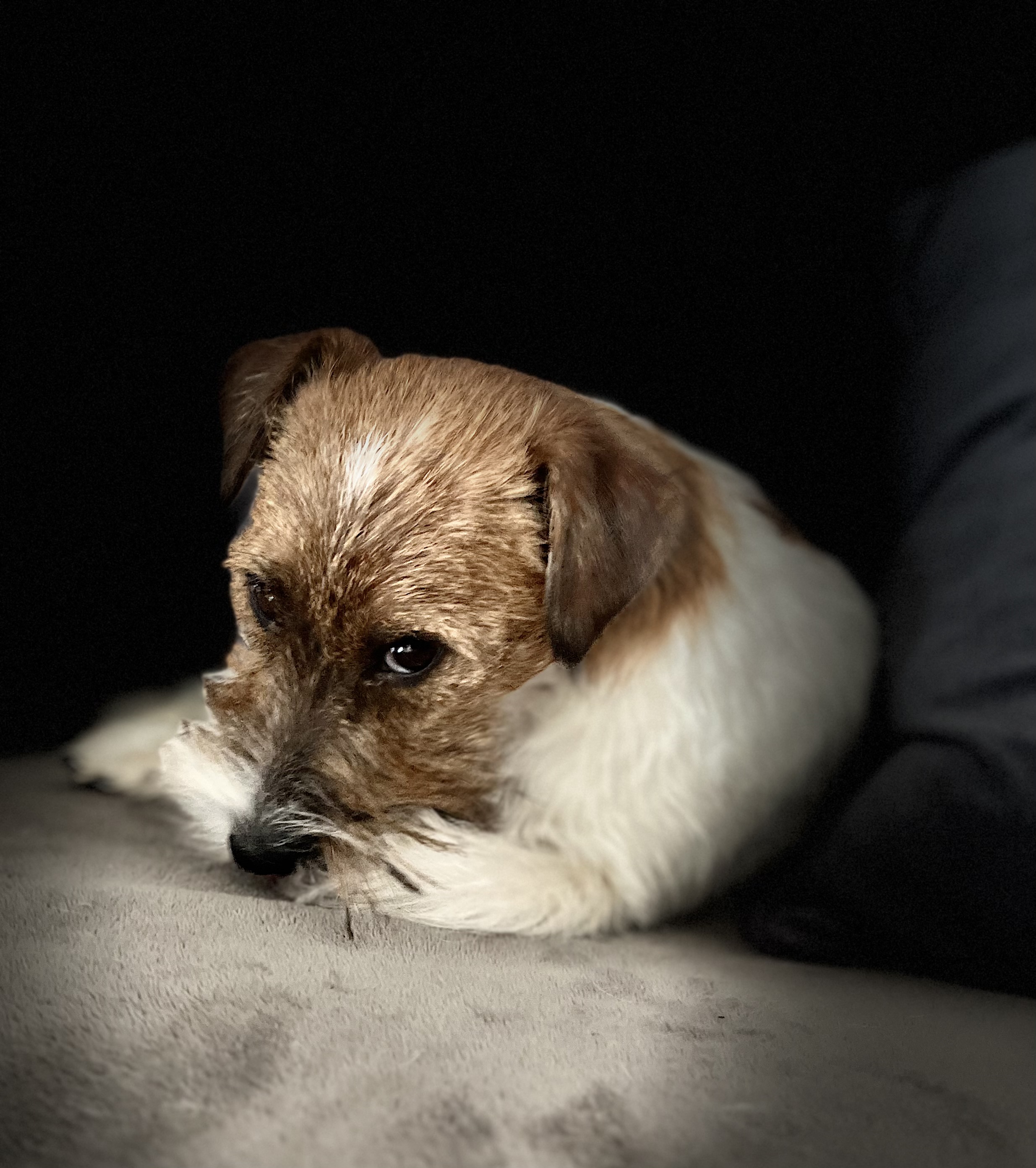 Ann-Karin Skyggen Lystad Ann-Karin Skyggen Lystad