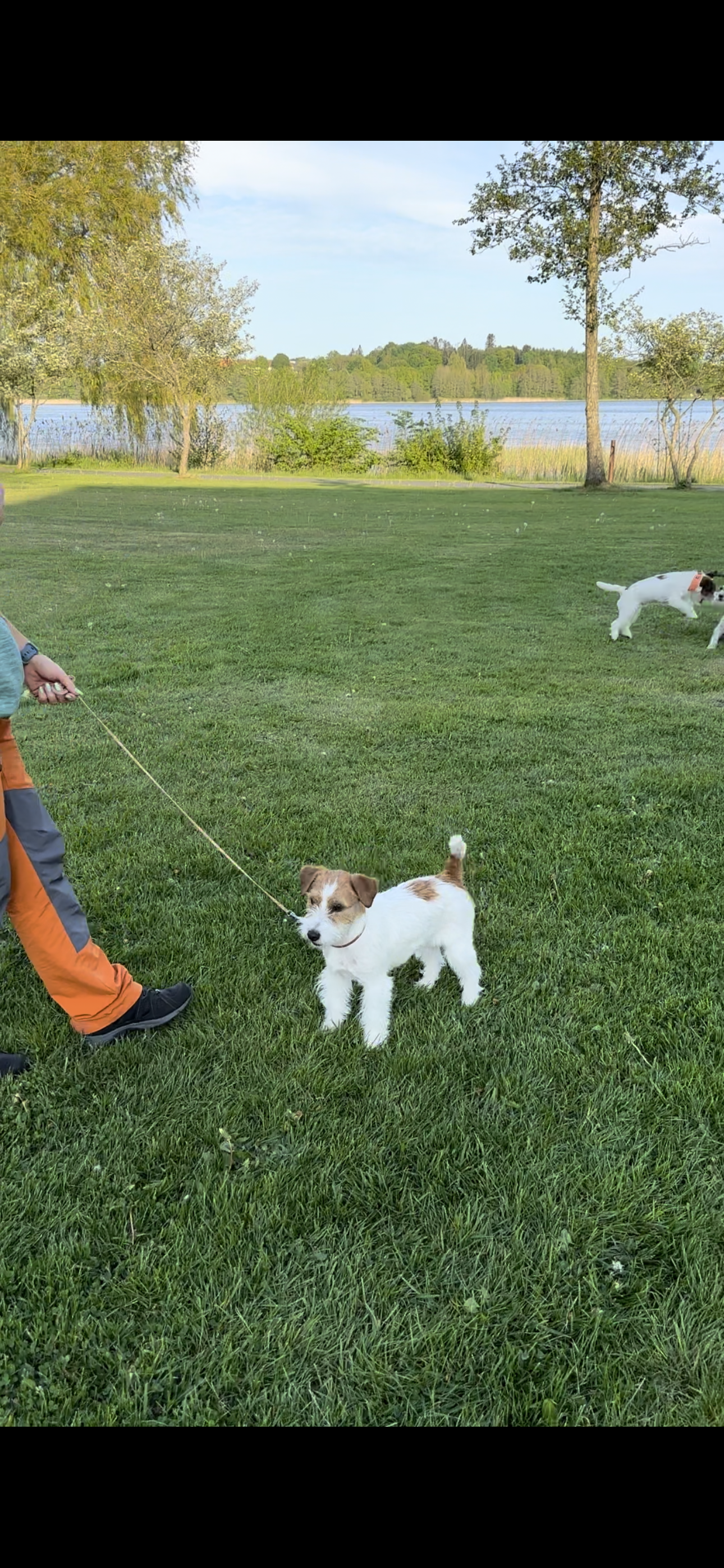 Ell-Ell’s Magica Melodia Ell-Ell’s Magica Melodia