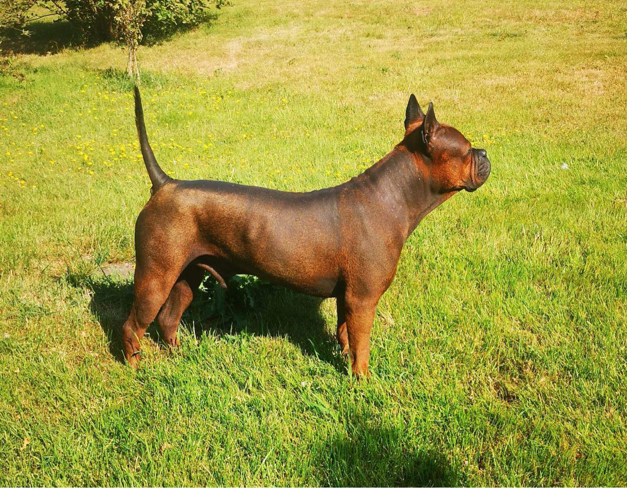 Ulysse Nudus Deus Ulysse Nudus Deus