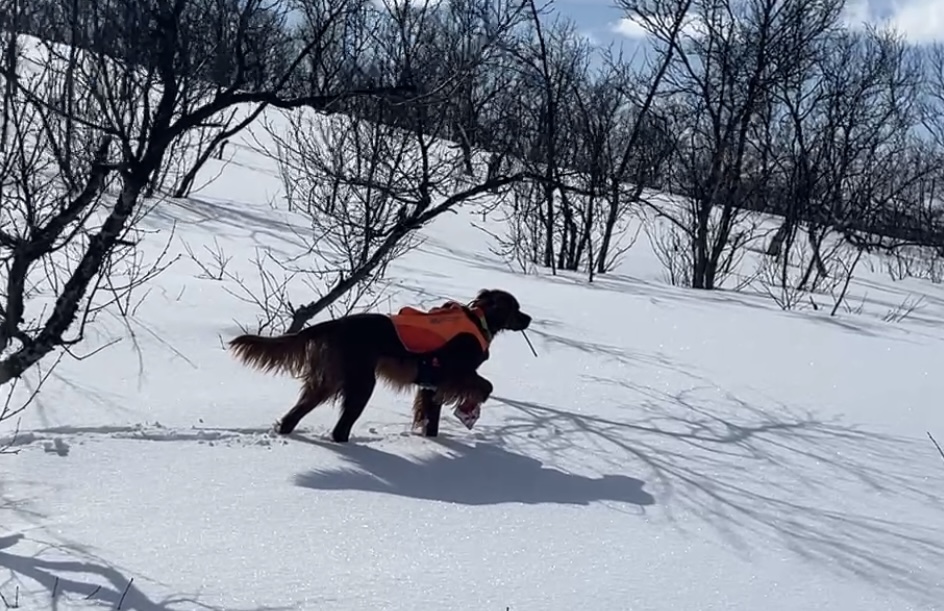 Norrlands Guidens Ep Saga Norrlands Guidens Ep Saga