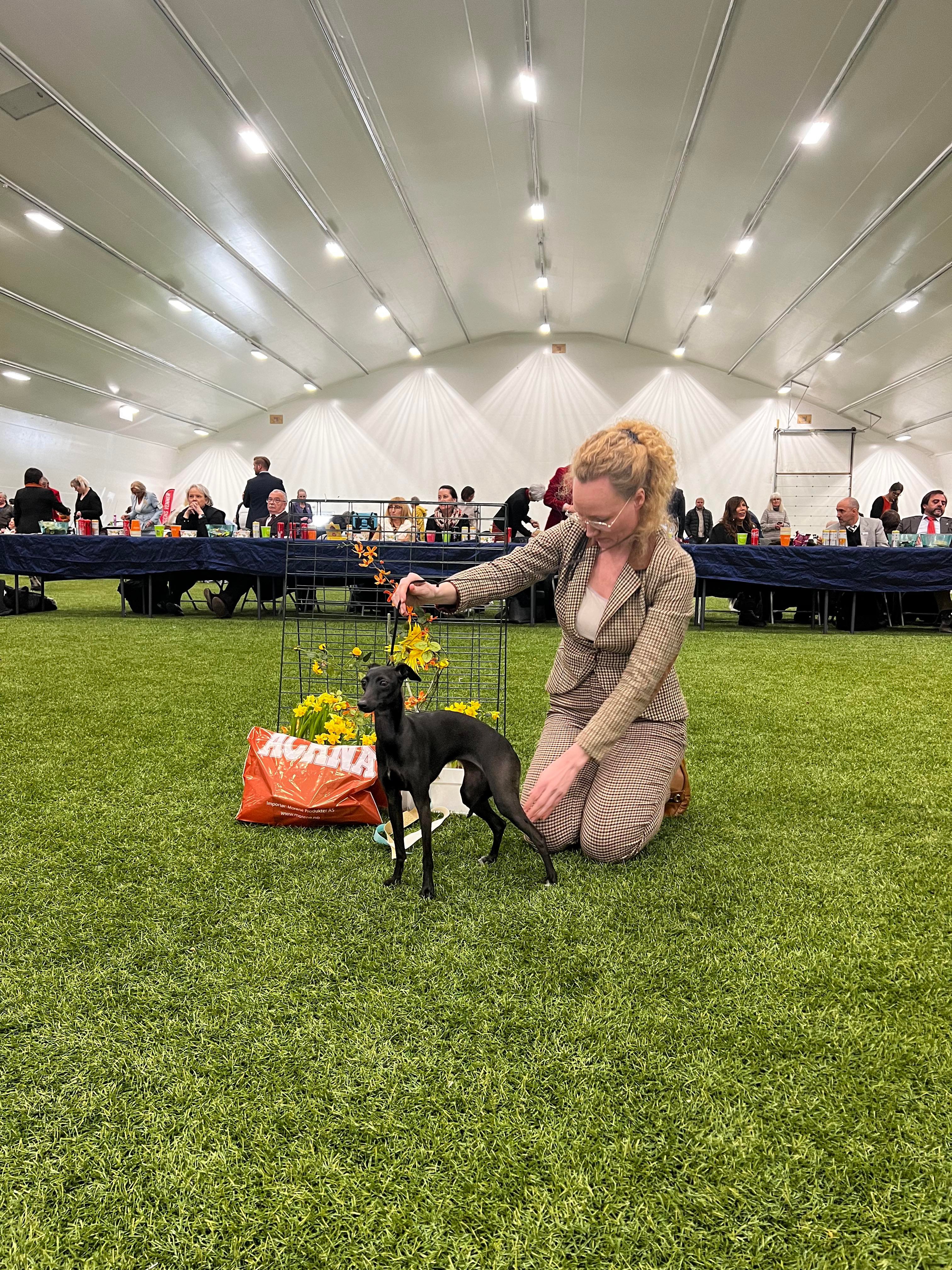 Mylene Væringstad Mylene Væringstad