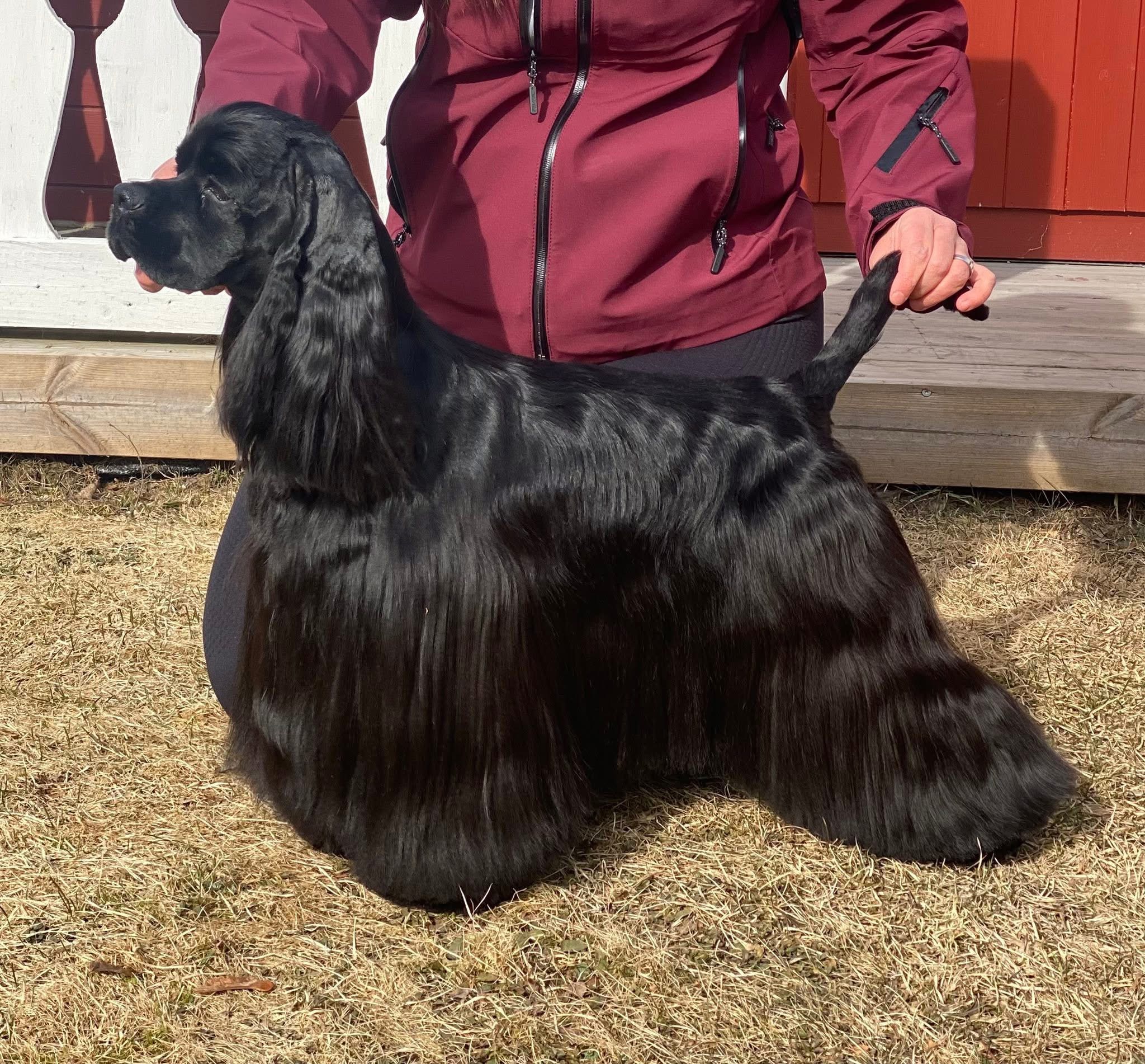 Perje’s Popping Cherry @Kungsljuset Perje’s Popping Cherry @Kungsljuset