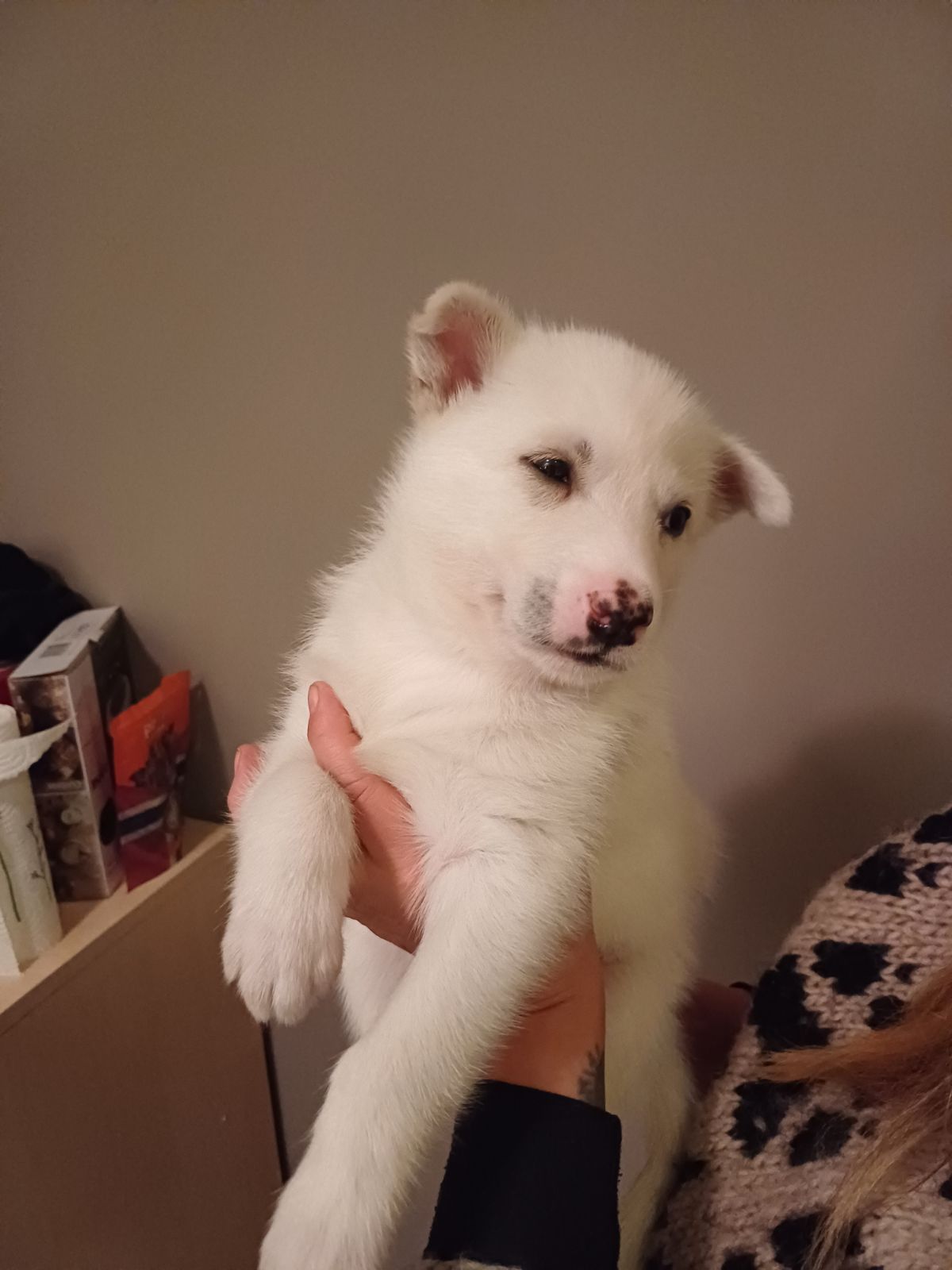 M&M' Plagioklas M&M' Plagioklas