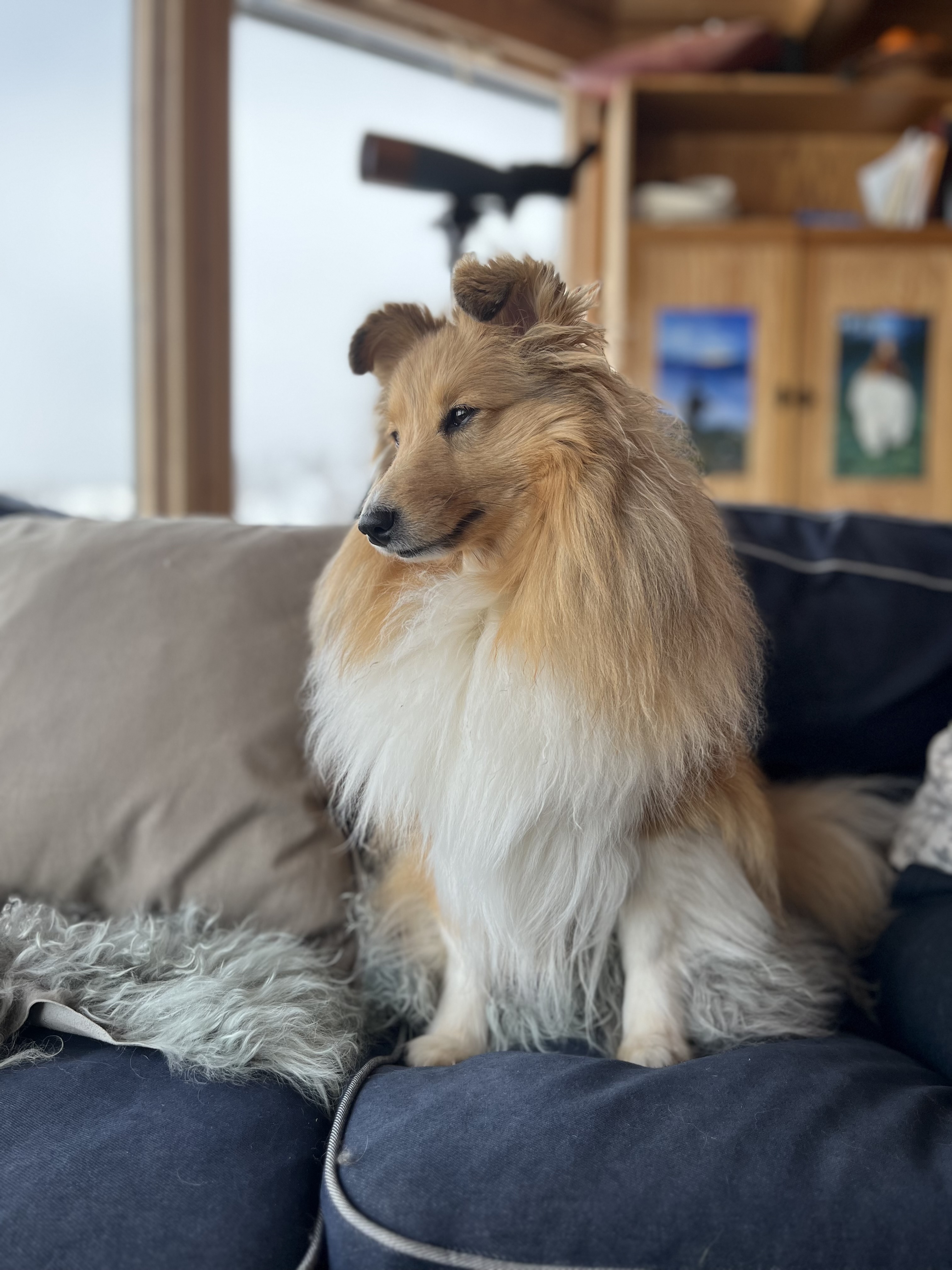 Aha summer time In gold Aha summer time In gold