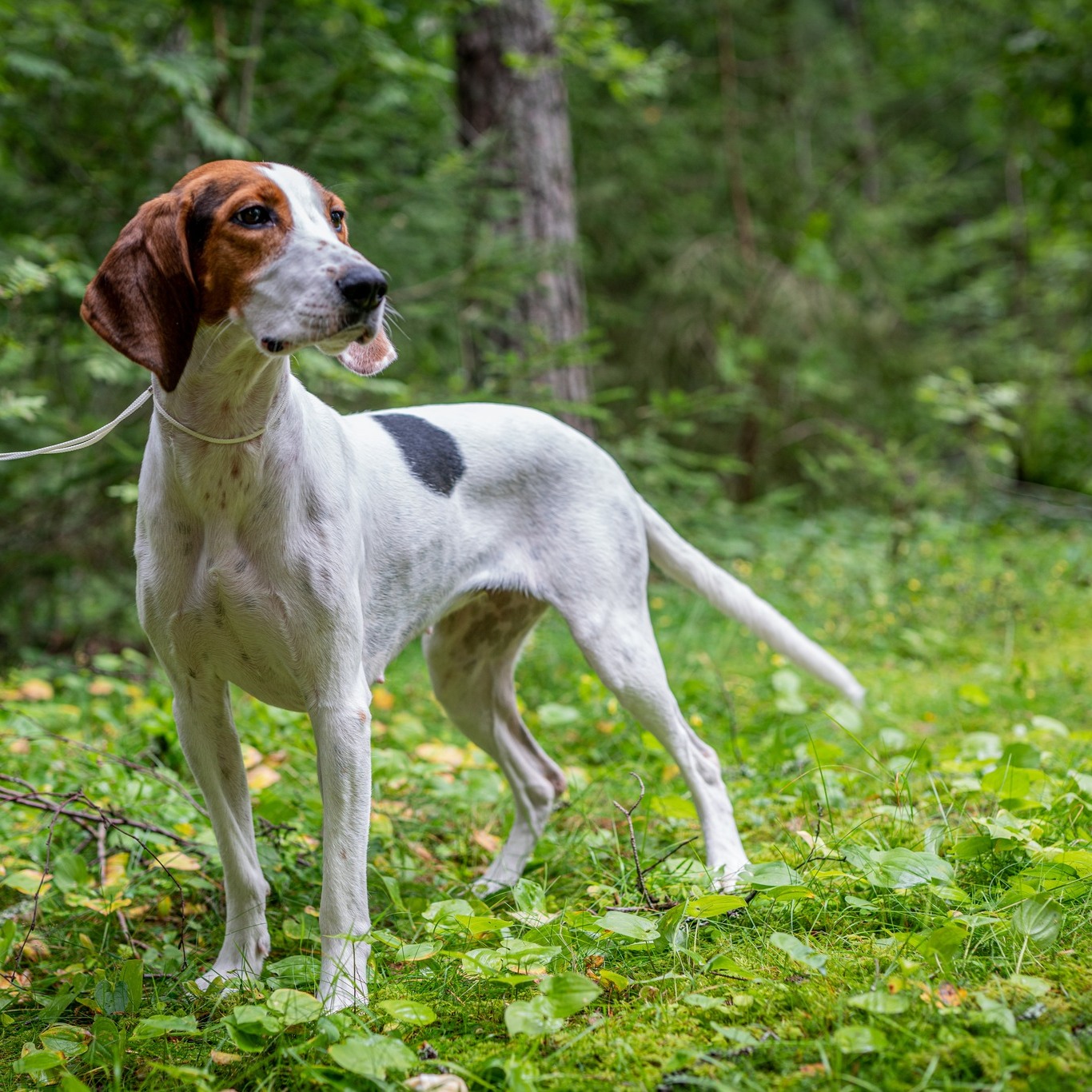 Cecilie Fuhr Cecilie Fuhr