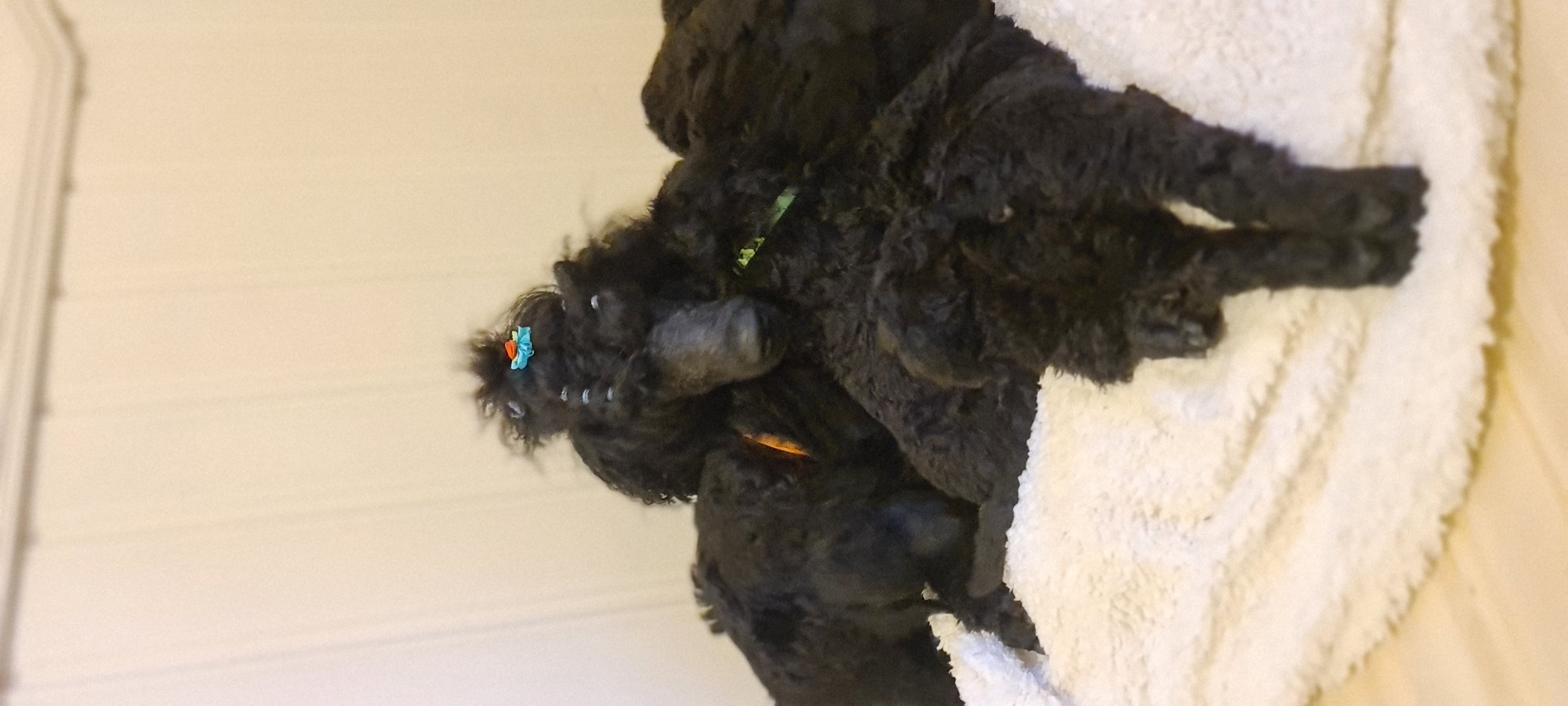 Stoff-kullet Stoff-kullet