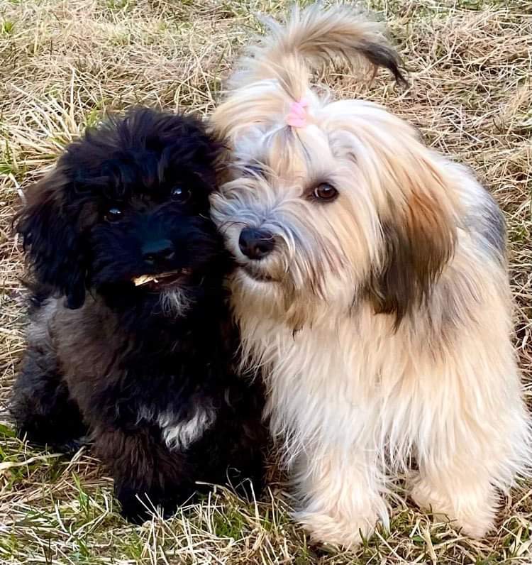 Cathrin Wanberg Cathrin Wanberg