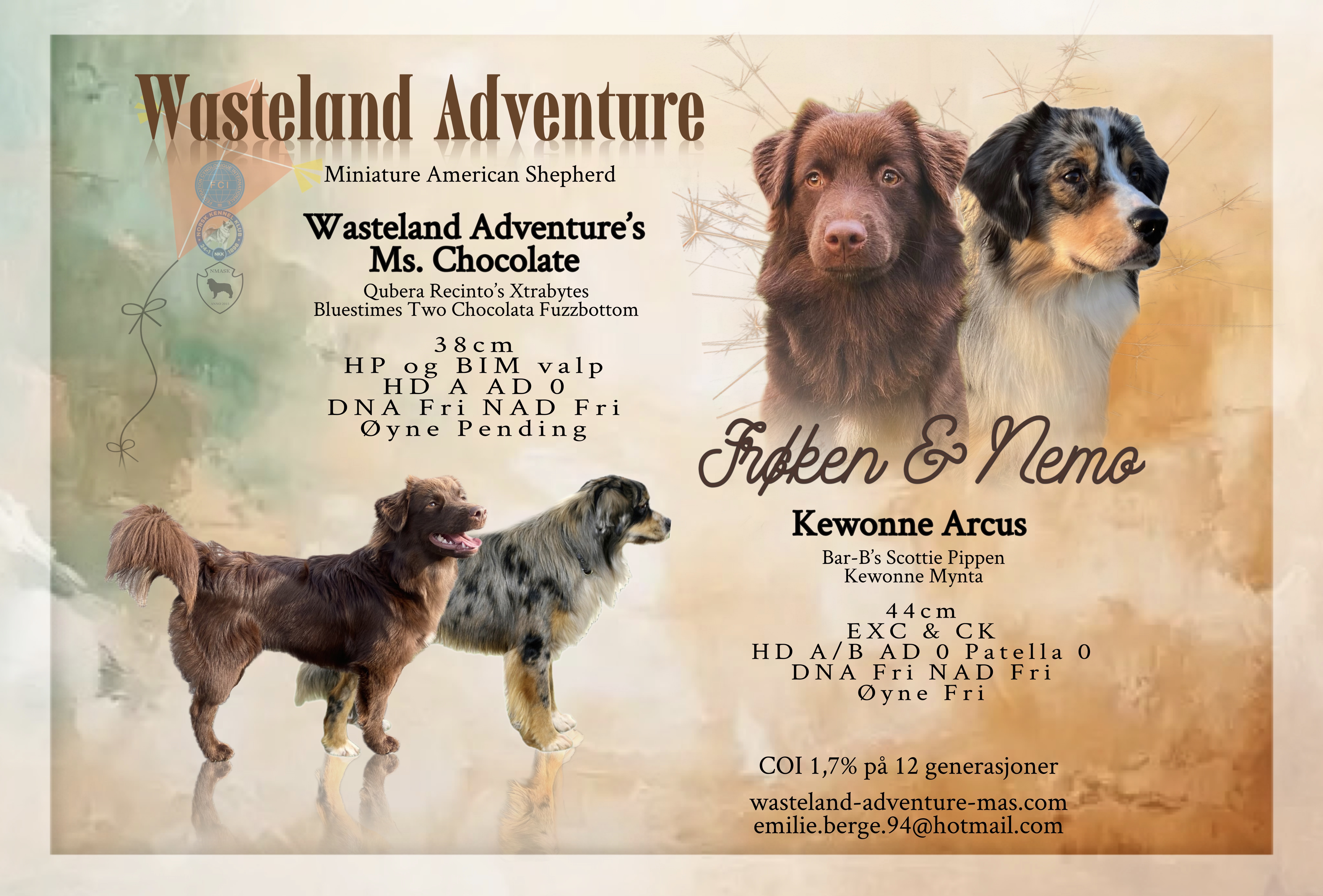 Frøken & Nemo Frøken & Nemo