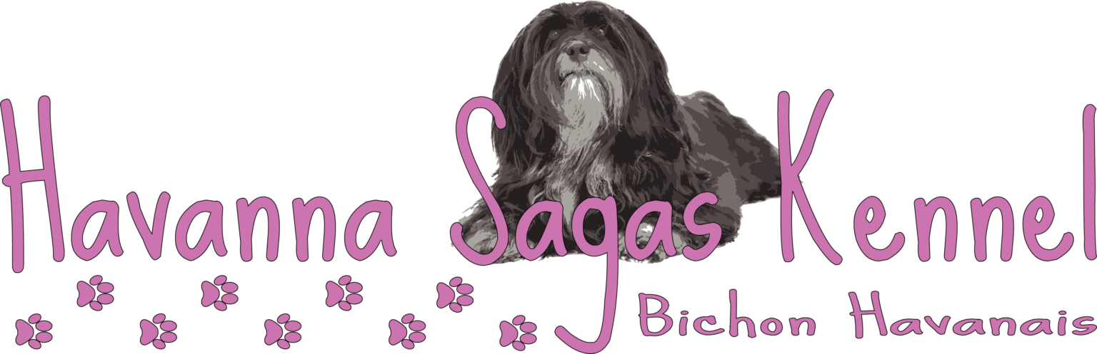 Havanna Saga Havanna Saga