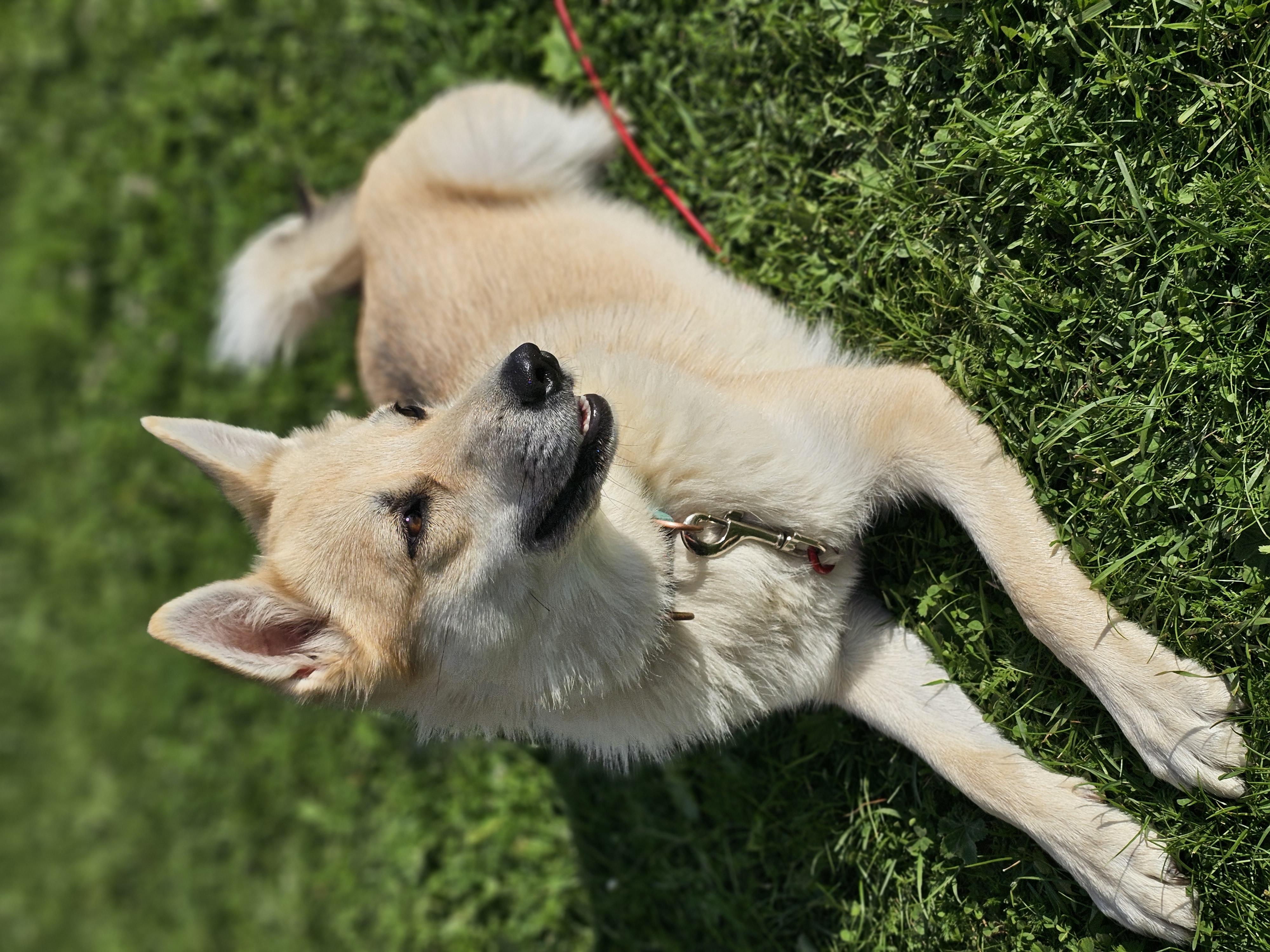 Jannichen Rønning Jannichen Rønning