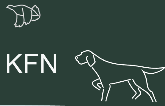 Kontinentale Fuglehunder i Norge 