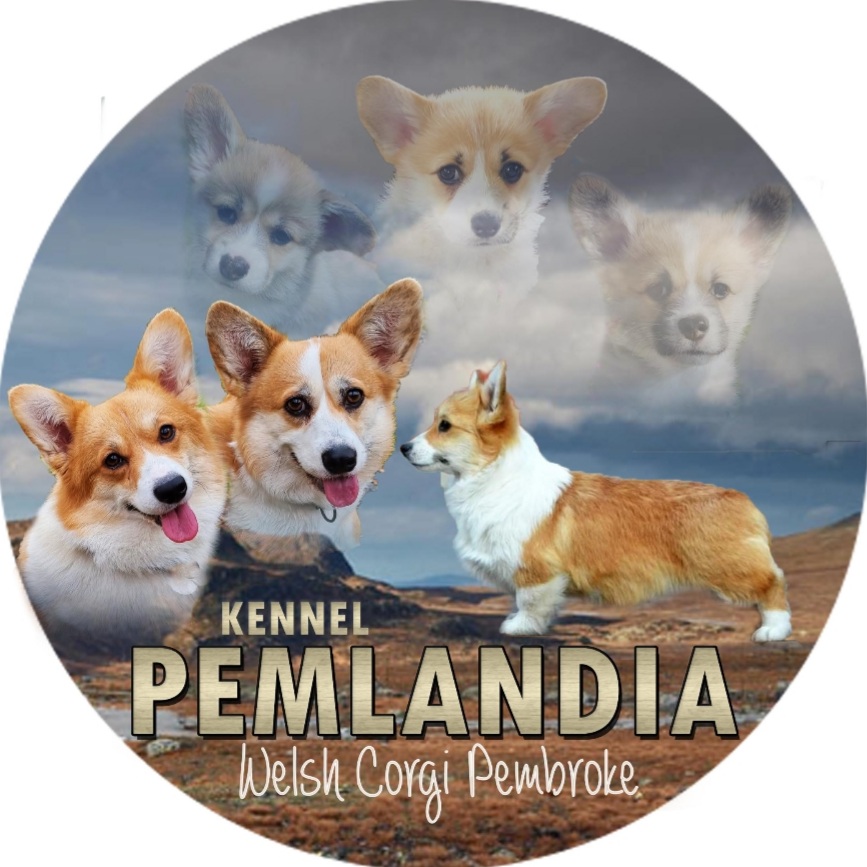 Bente Espevold Bente Espevold