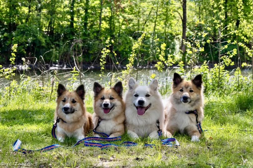 Jimmy Elin og Elisabeth Brastad Jimmy Elin og Elisabeth Brastad