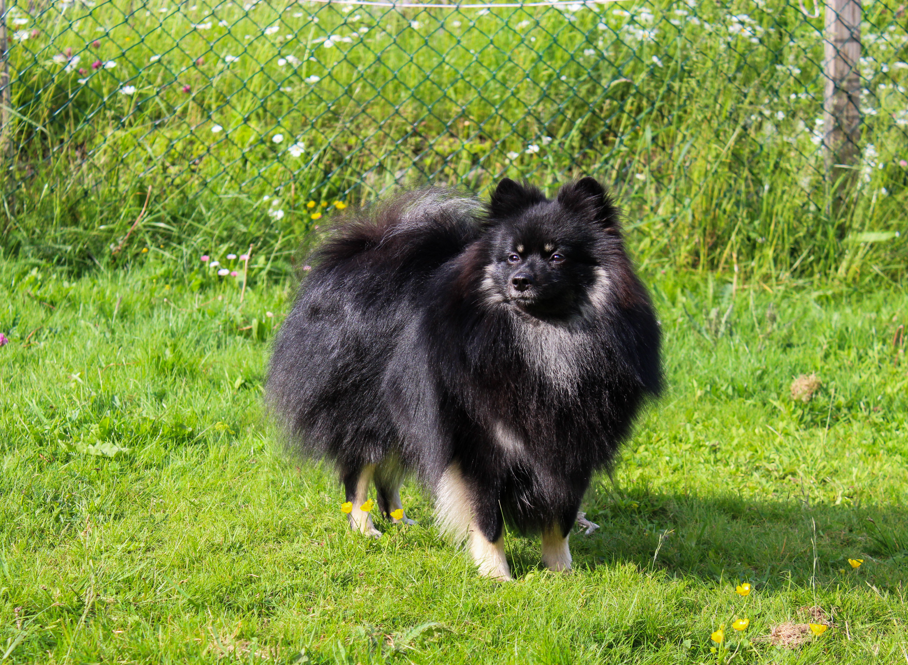 Omnia’s Gorgeous Gift