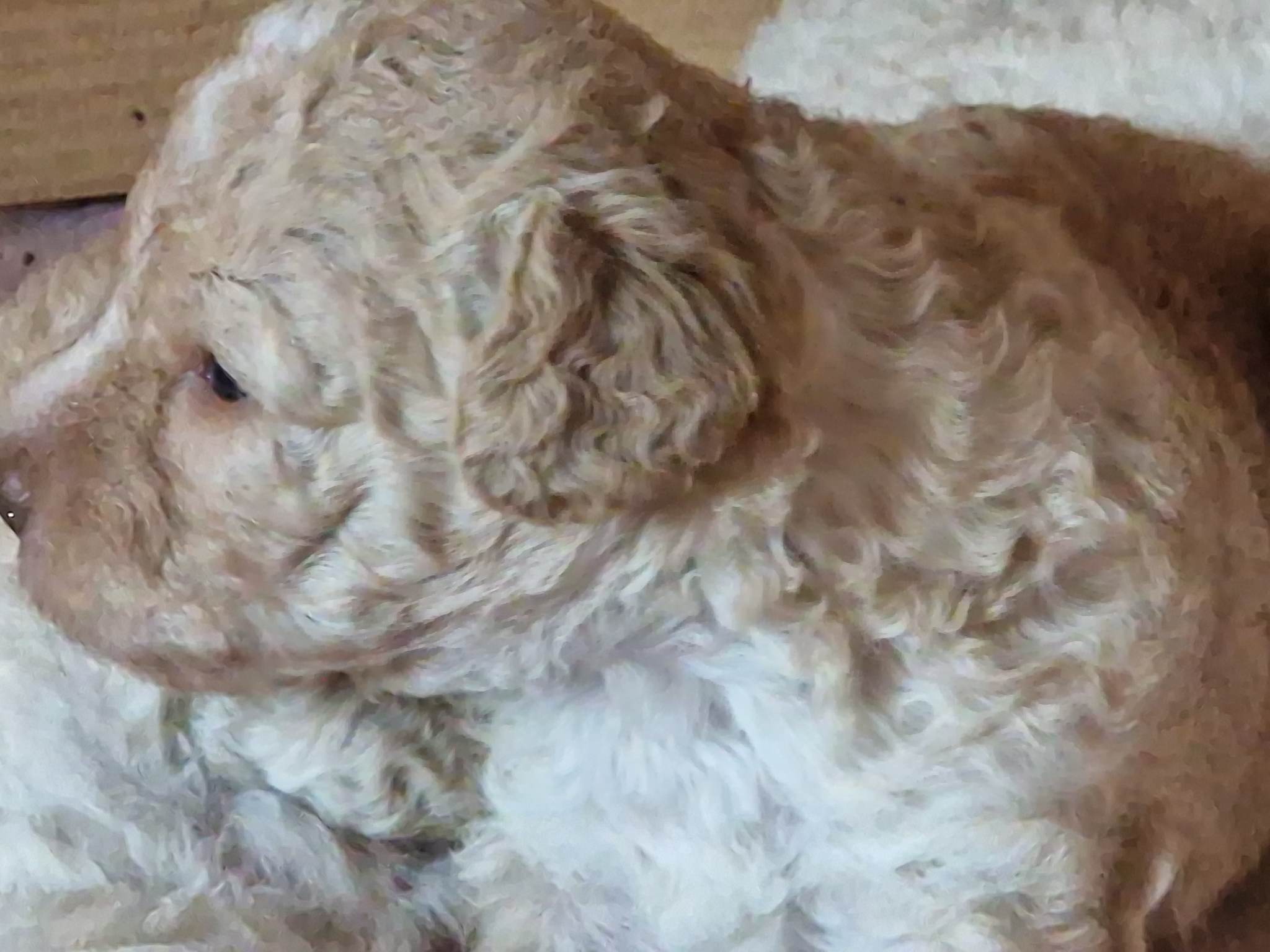 Summer storm av Milkcreek Summer storm av Milkcreek