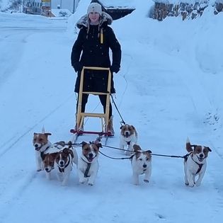 Hunter Hawk Hunter Hawk