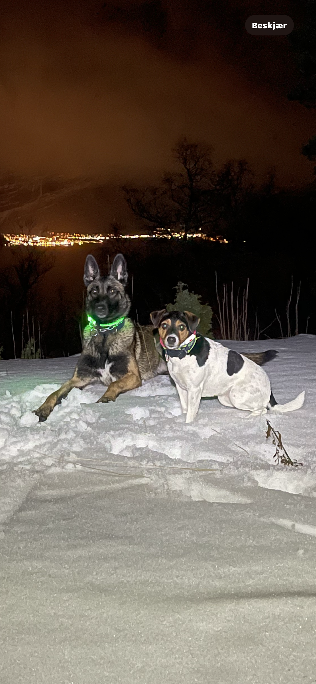 Weilerotts Weilerotts