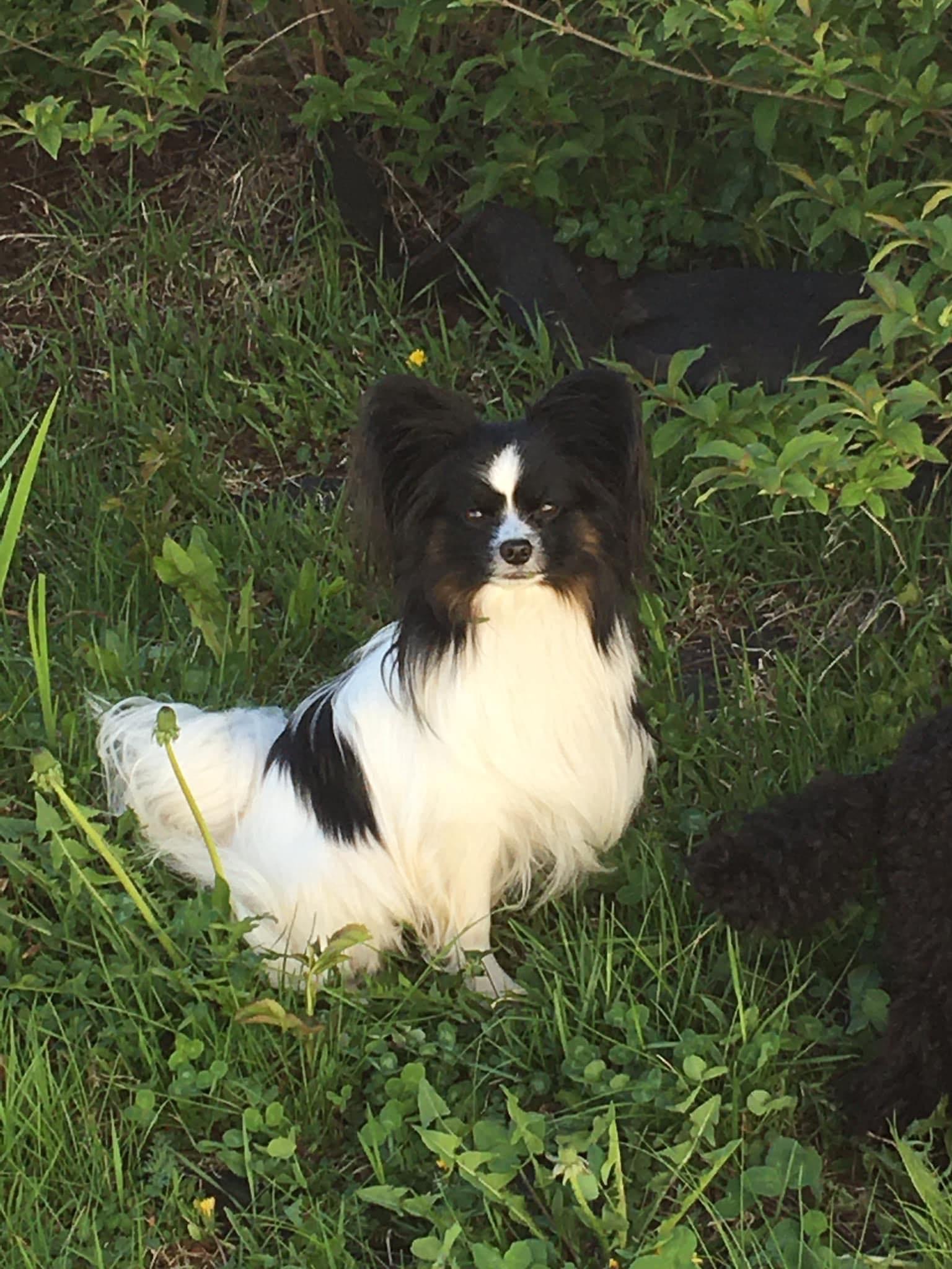 Tone Stenhaug Tone Stenhaug