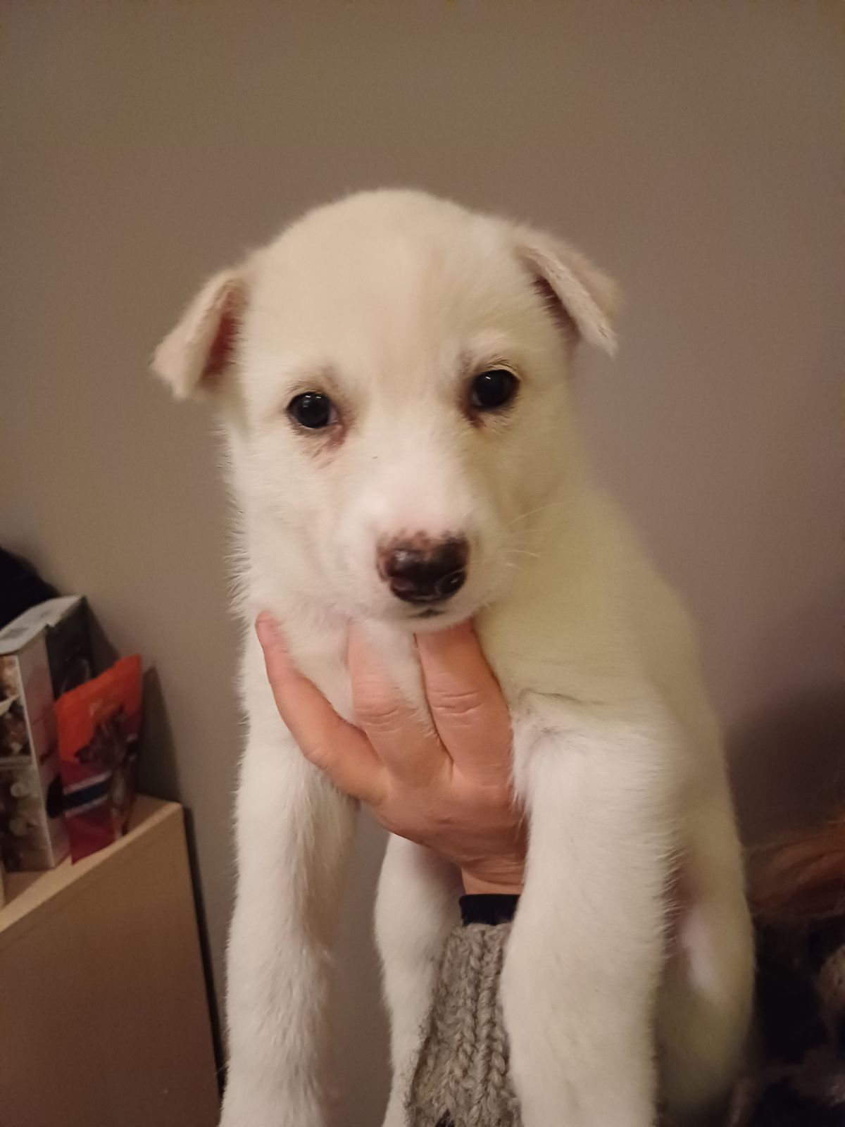 M&M' Feltspat M&M' Feltspat