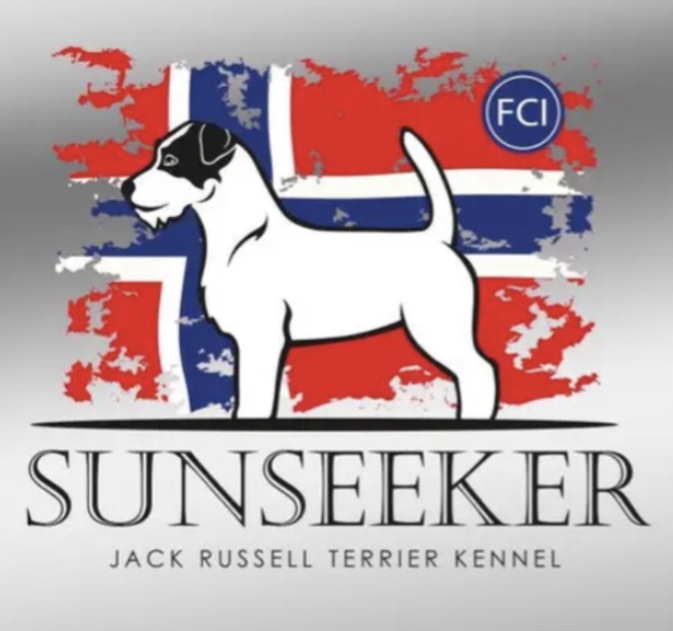 Sunseeker Sunseeker