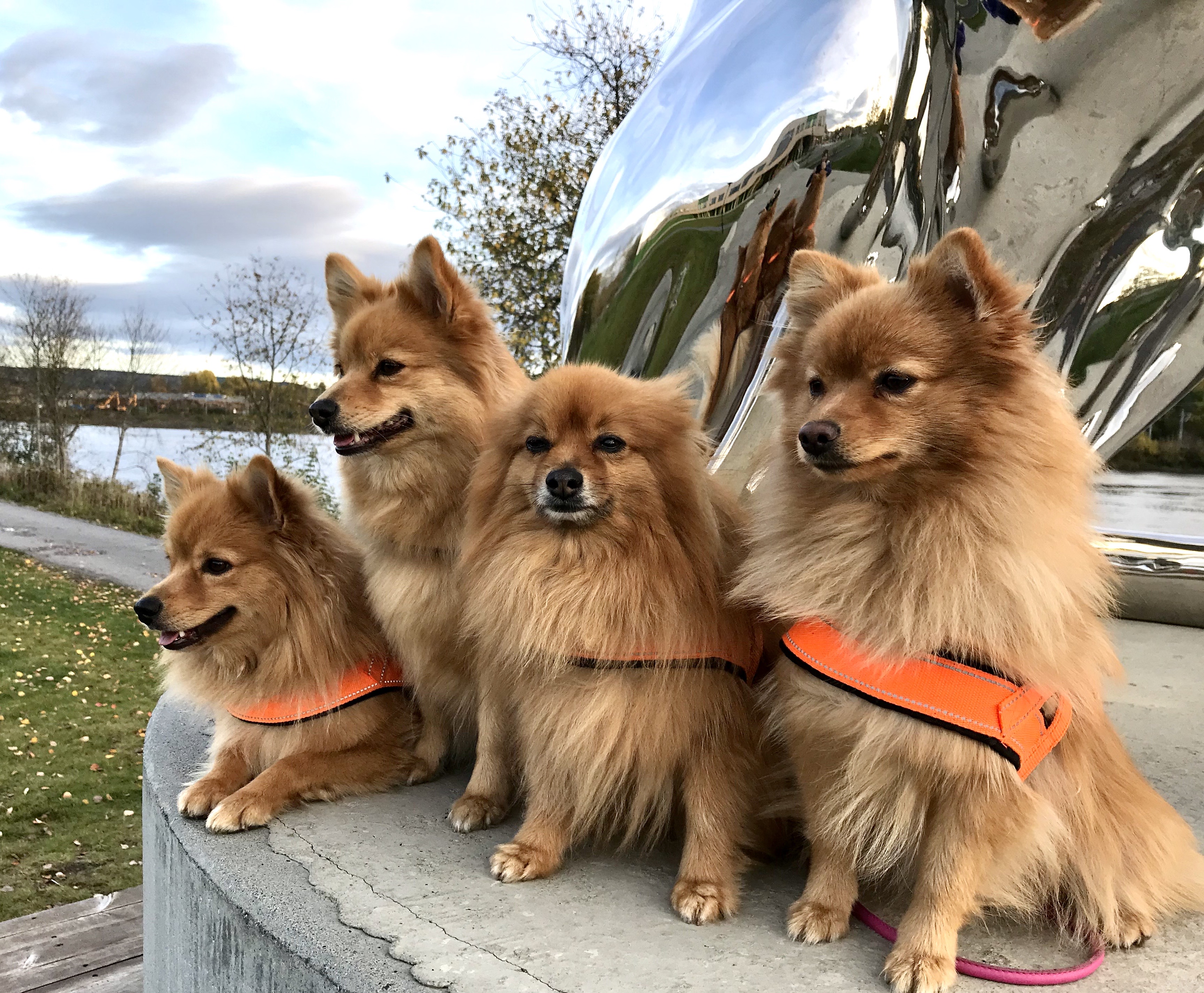 Marianne Myki Marianne Myki