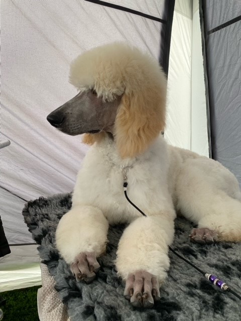 Martha Lomsdal Strand Martha Lomsdal Strand