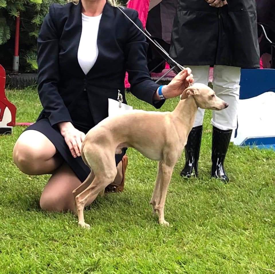 Bey Winningmood Bey Winningmood