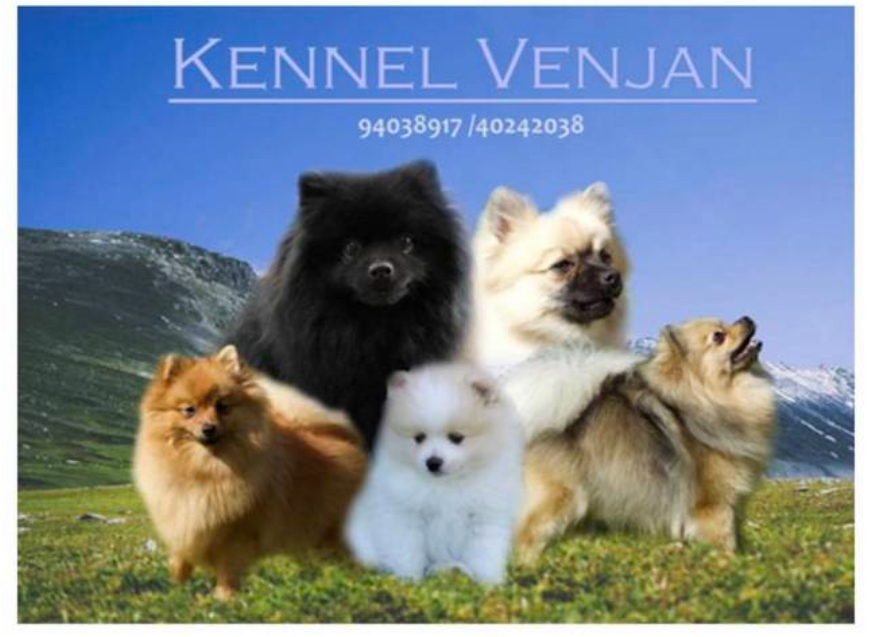 Venke og Jan Åge Pedersen Venke og Jan Åge Pedersen