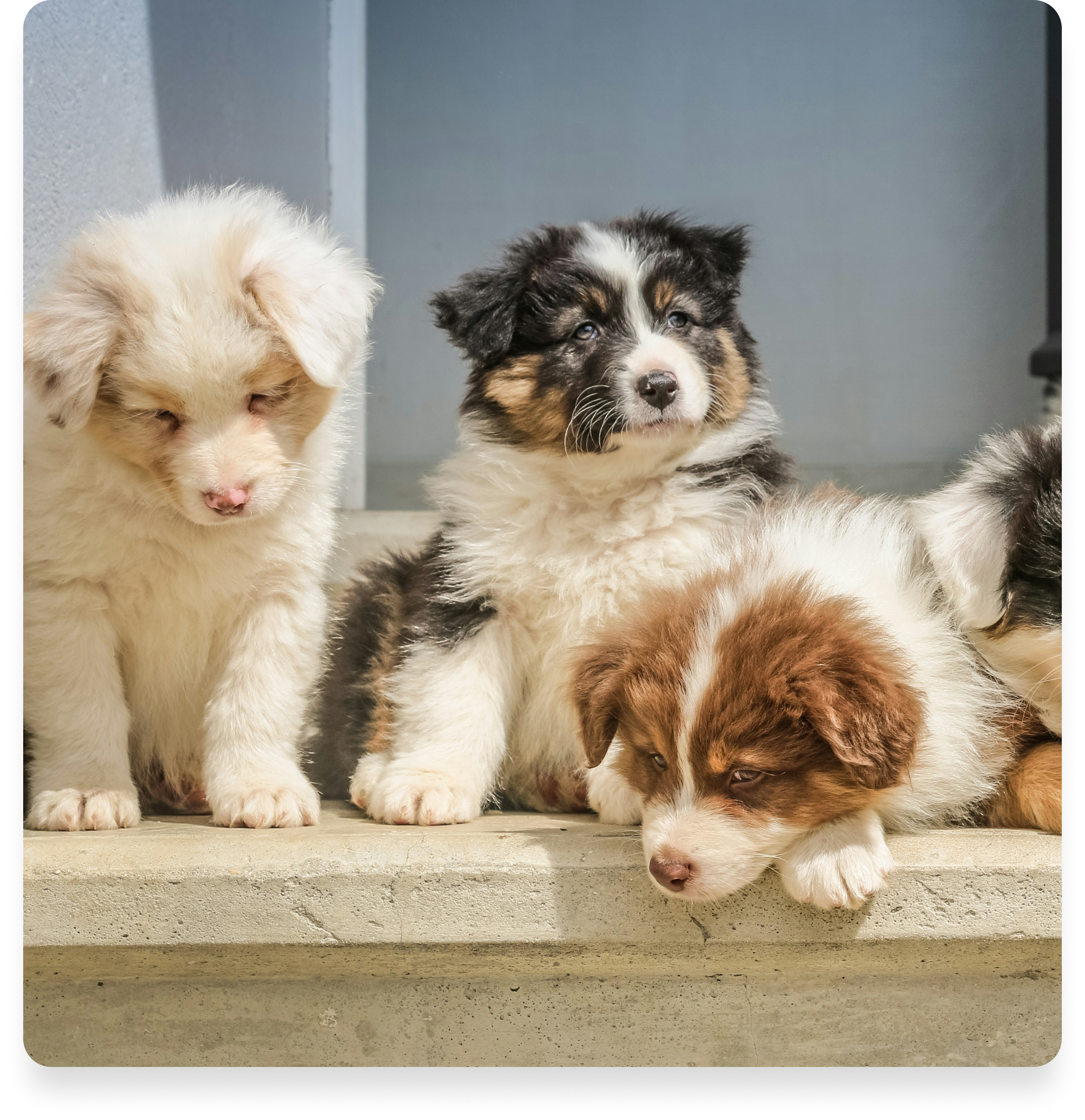 Slik unngår du svindel og skjulte feil