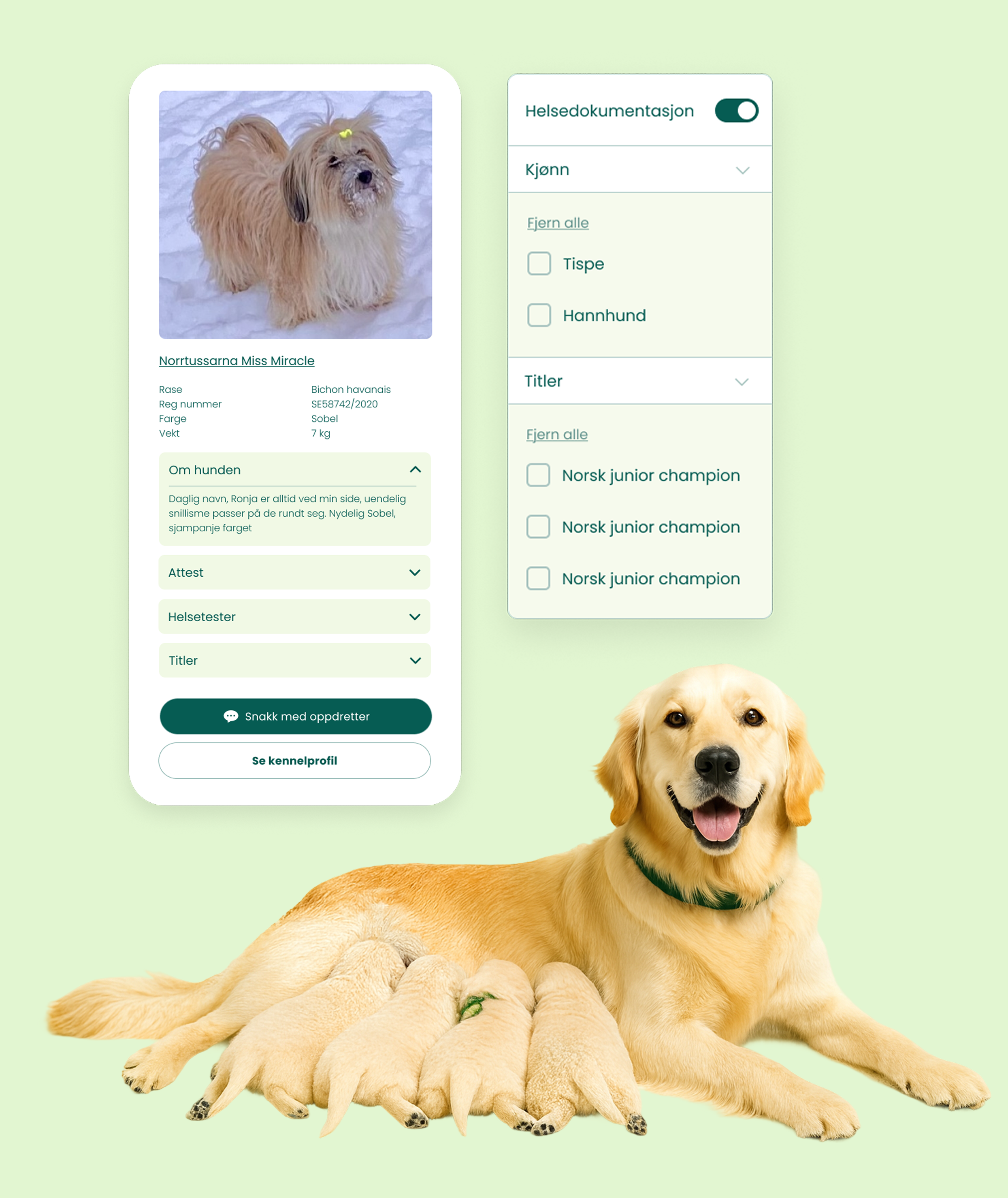 Søk i over 1320 avlshunder Søk i over 1320 avlshunder