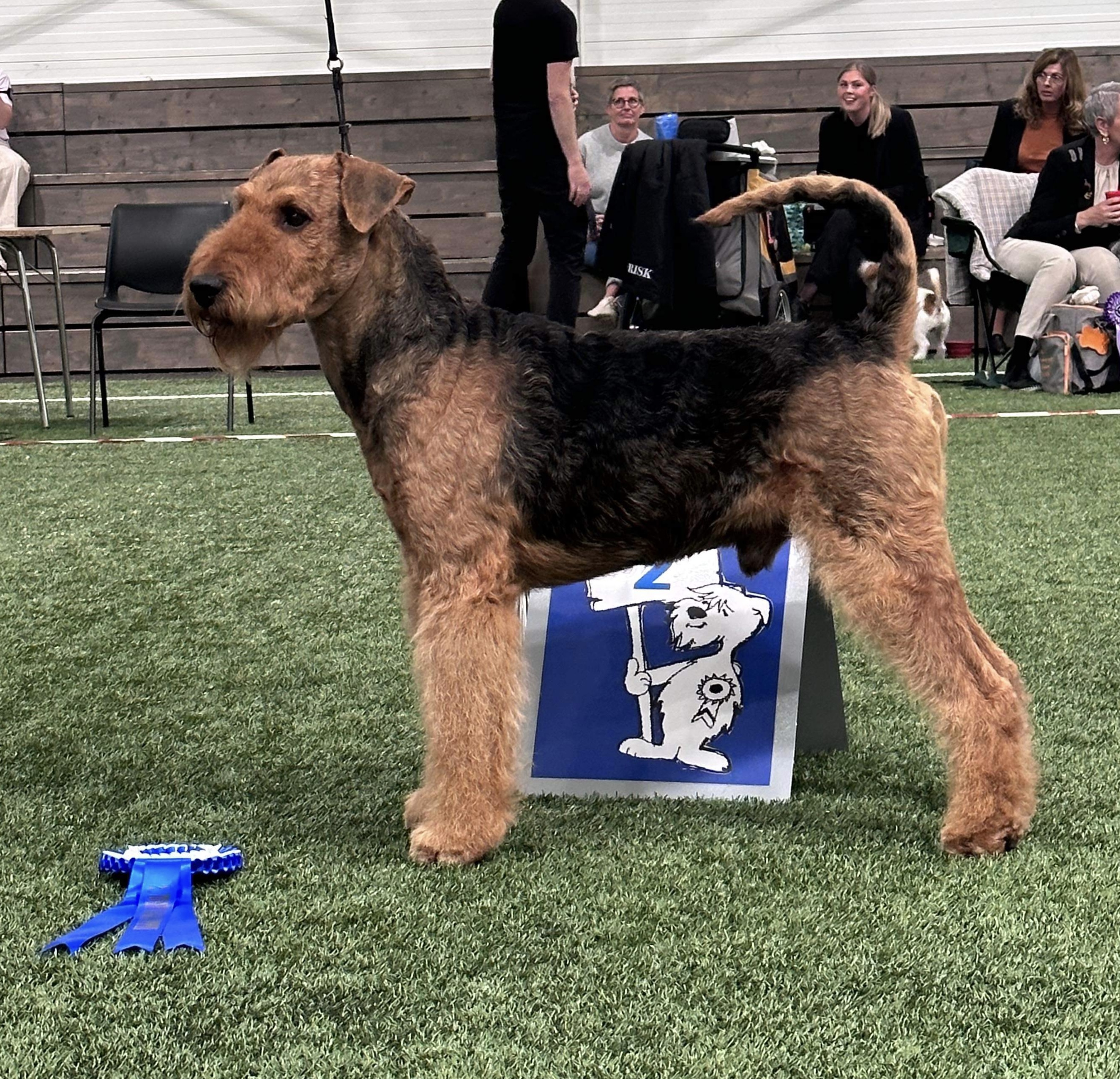 Sojus Castles in The Aire Sojus Castles in The Aire