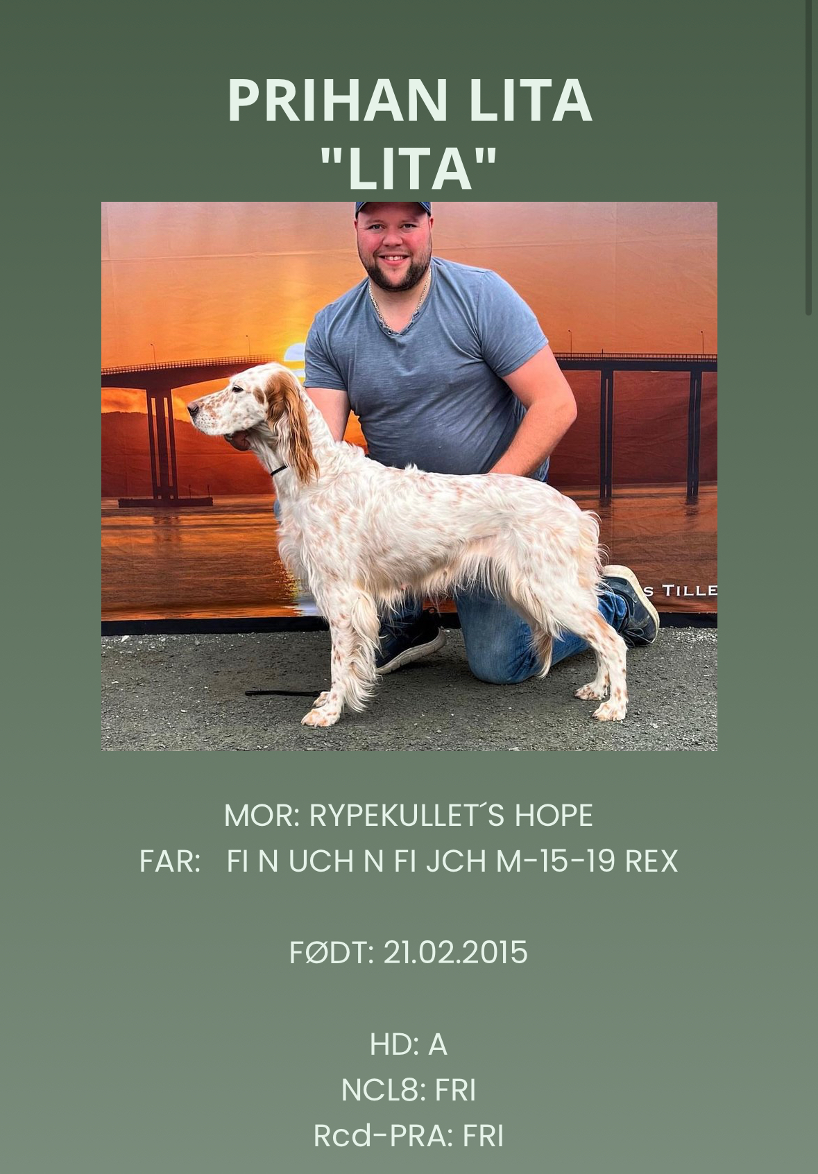 Prihan Lita Prihan Lita