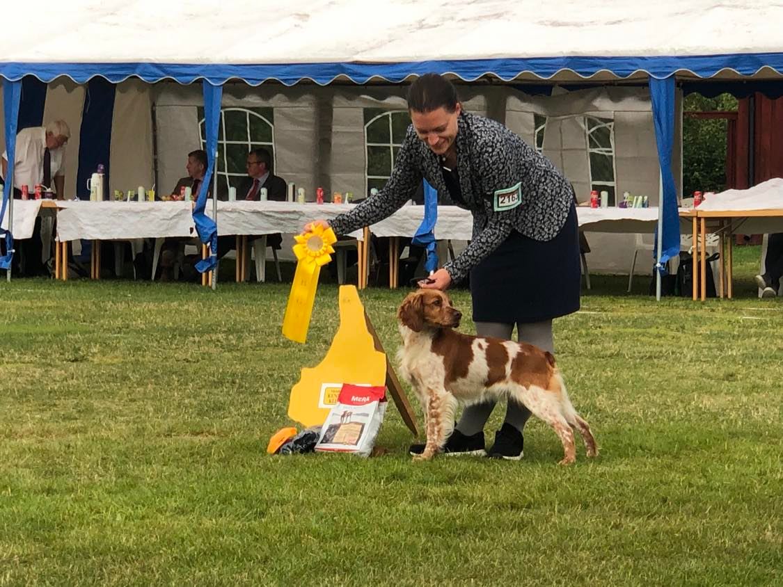 Isvinds Havana Passion Isvinds Havana Passion