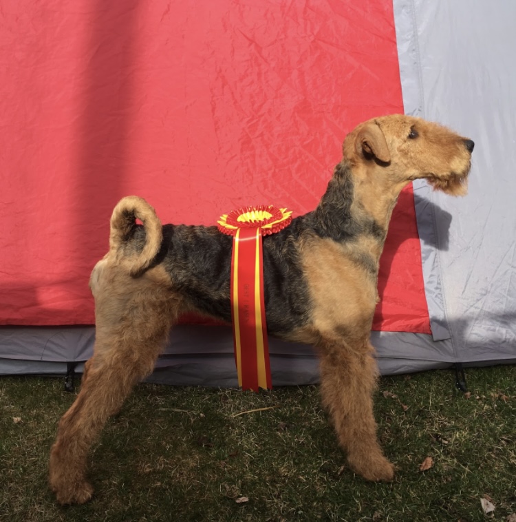 FreTos Sophisticated Suzy FreTos Sophisticated Suzy