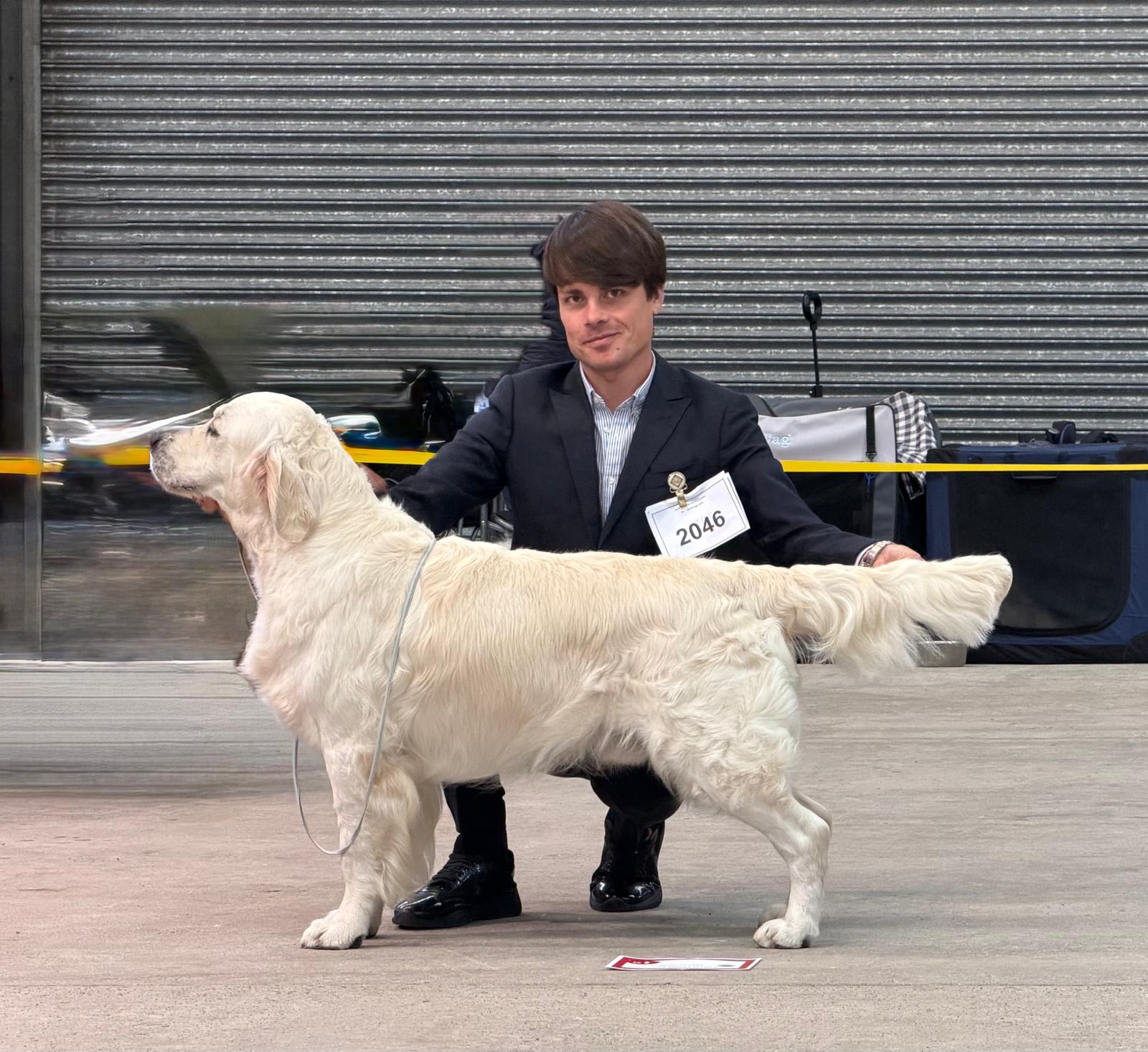 Olvinglay Gan Amhras Olvinglay Gan Amhras