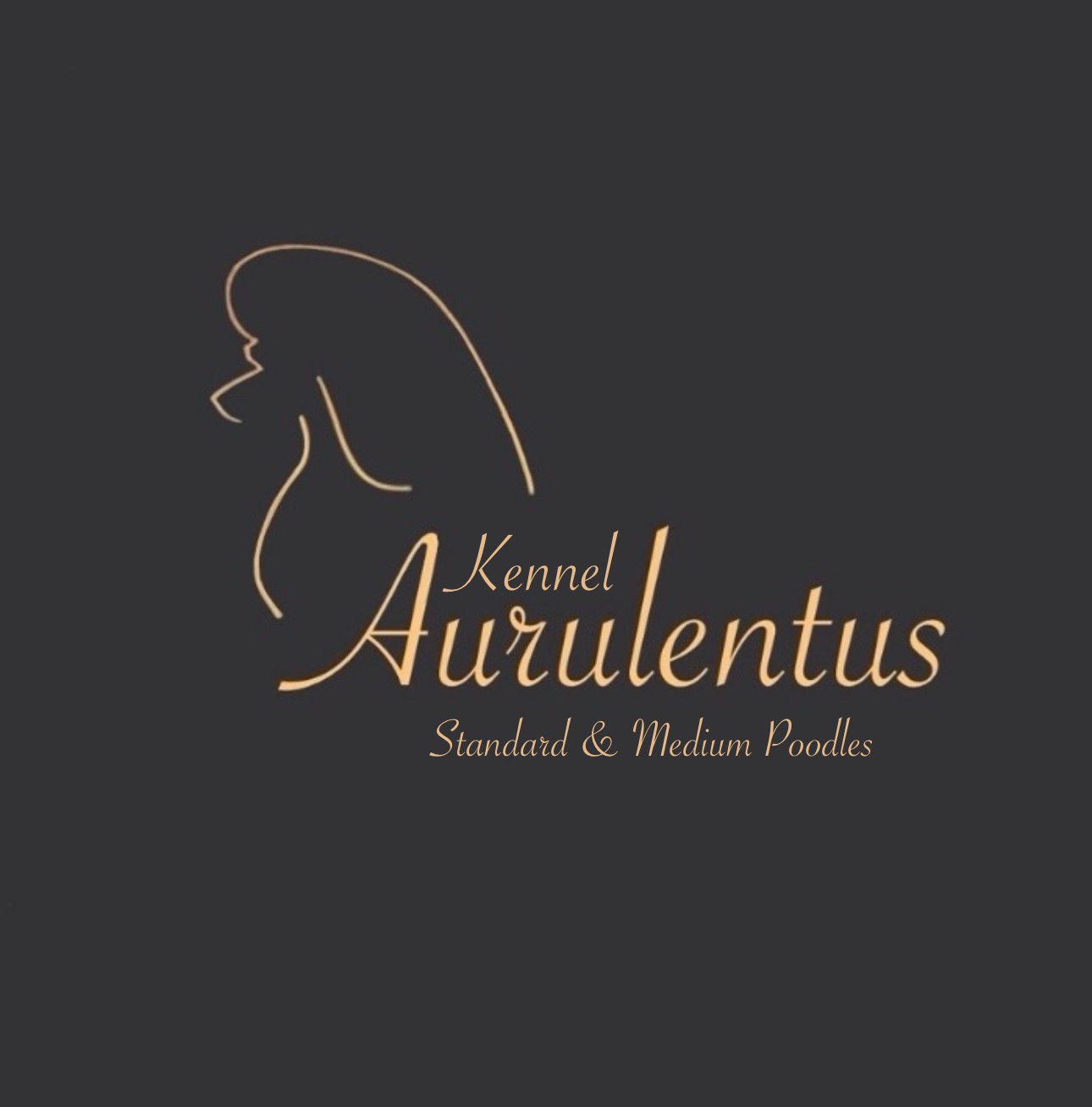 Madeleine Eriksen Madeleine Eriksen