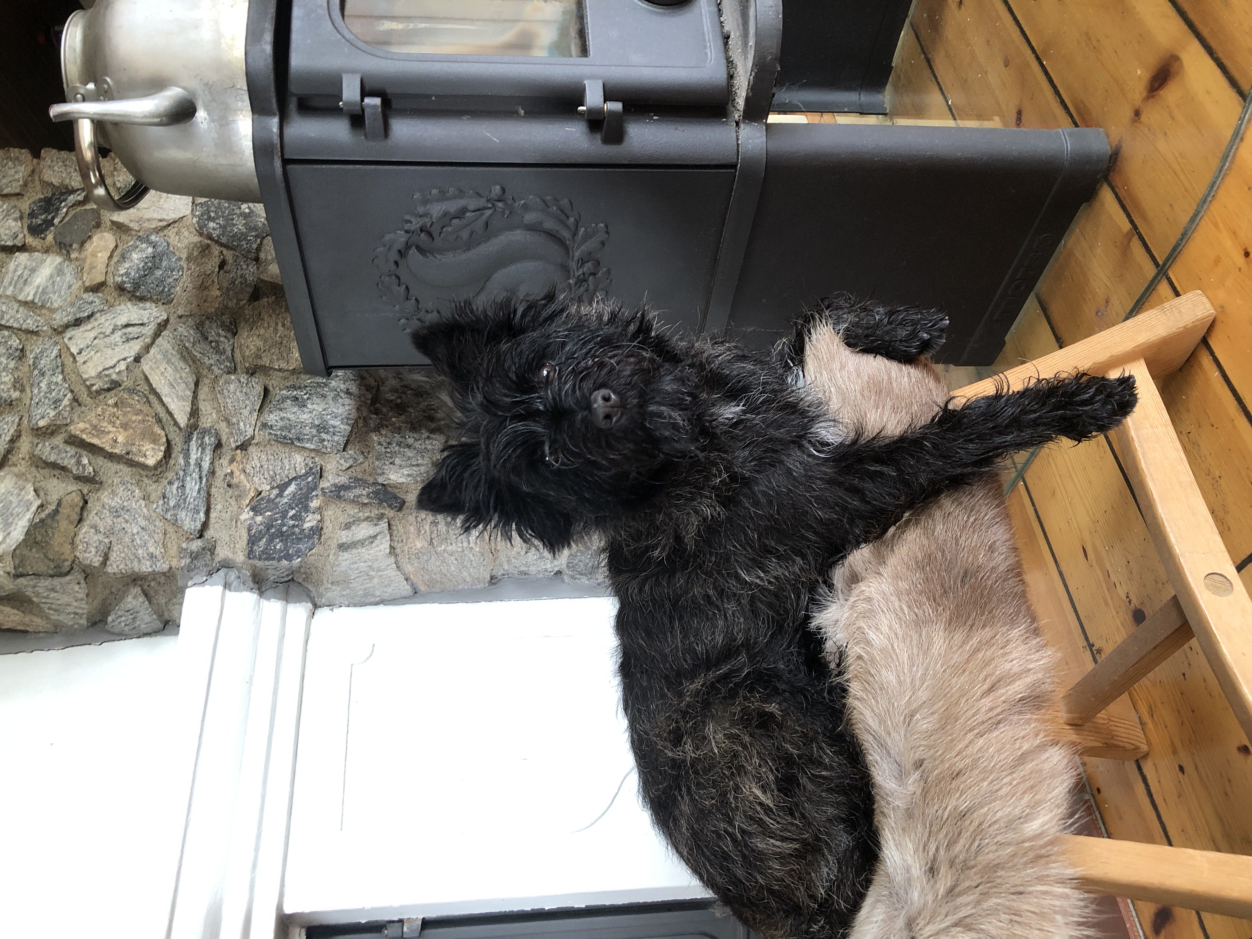 Kadellys Sombody To Love Kadellys Sombody To Love