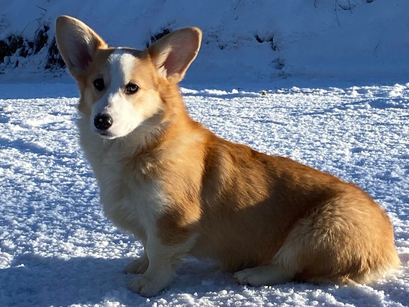 Lisbeth Endresen Lisbeth Endresen