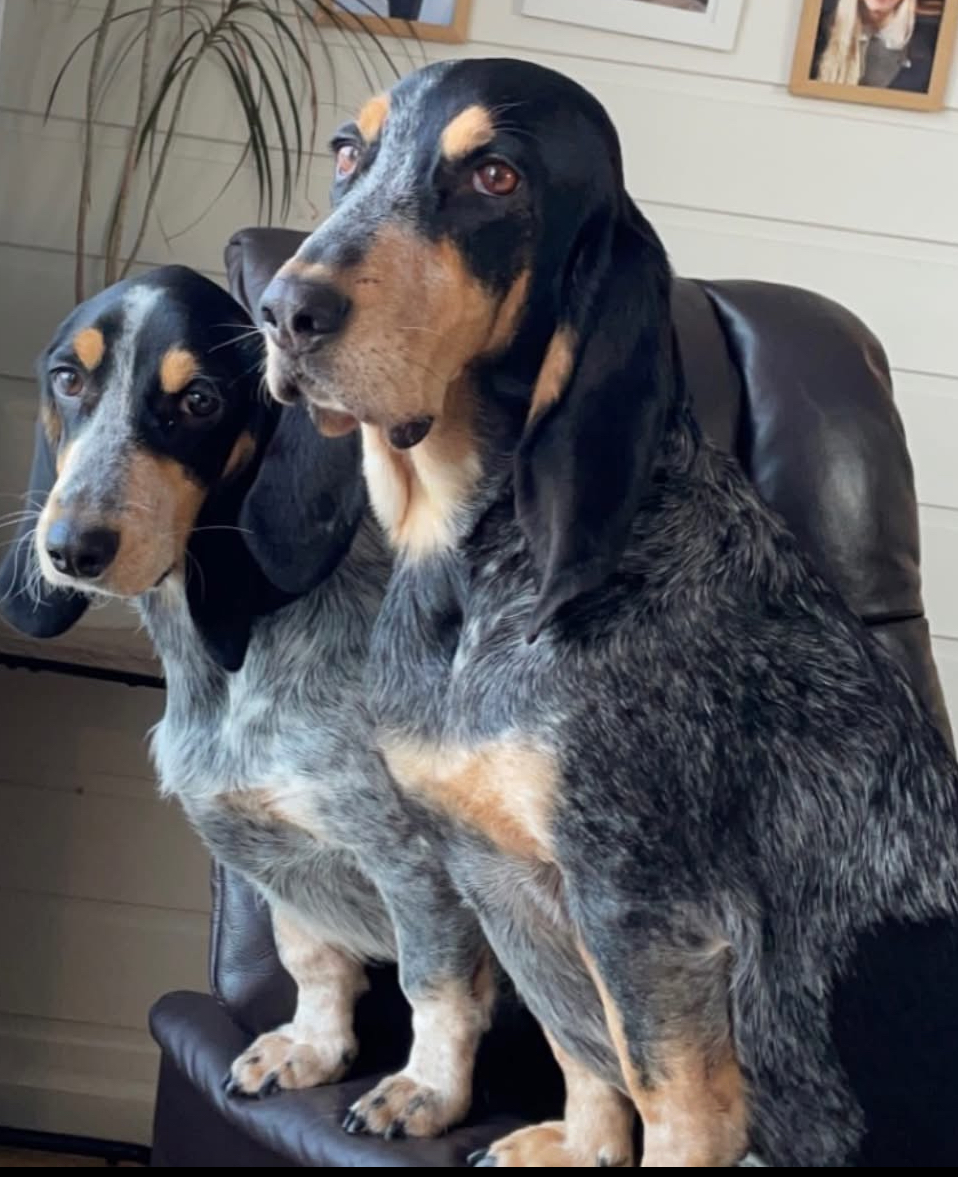 Bente Sofie Maurstad