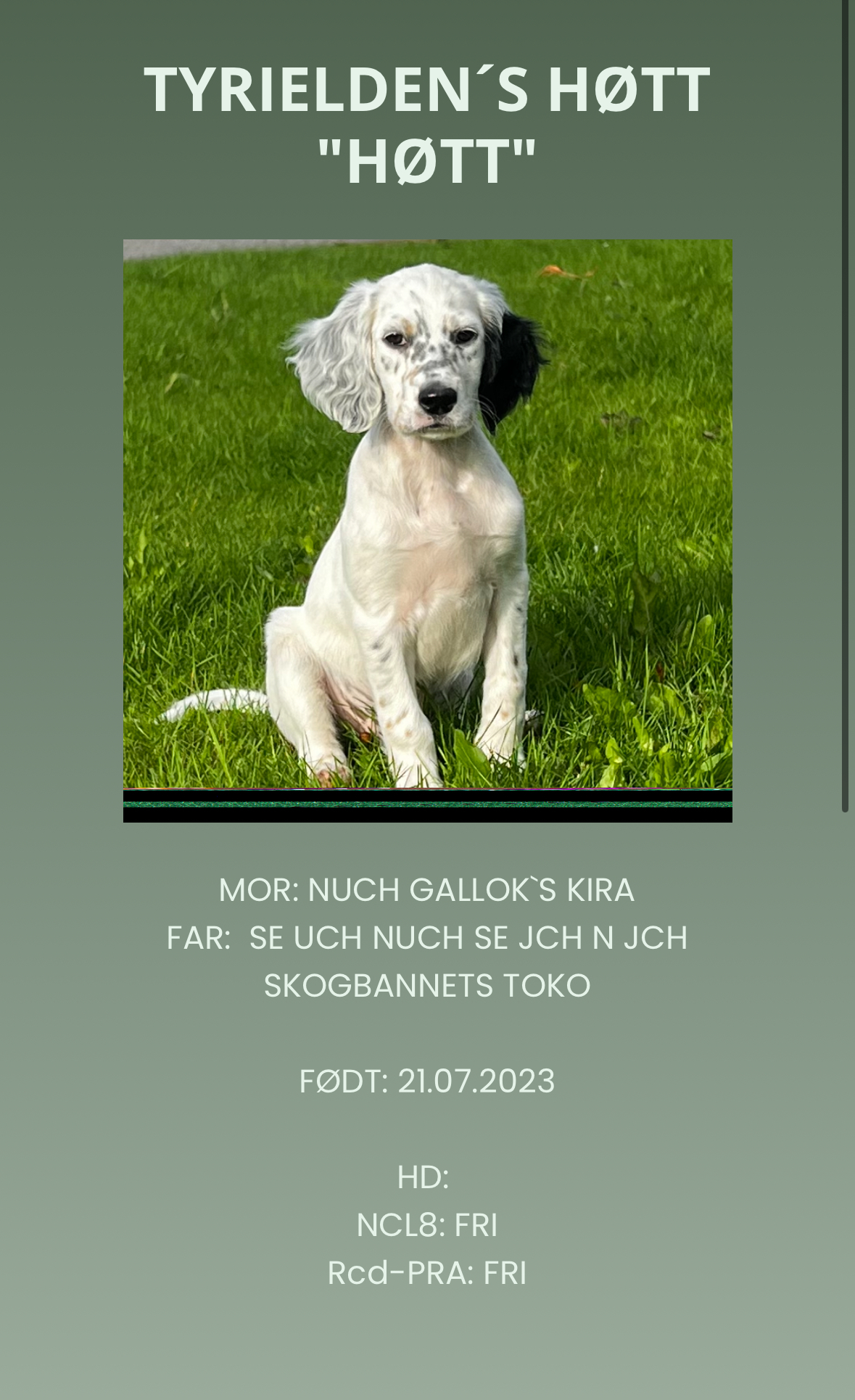 Tyrielden's Høtt Tyrielden's Høtt