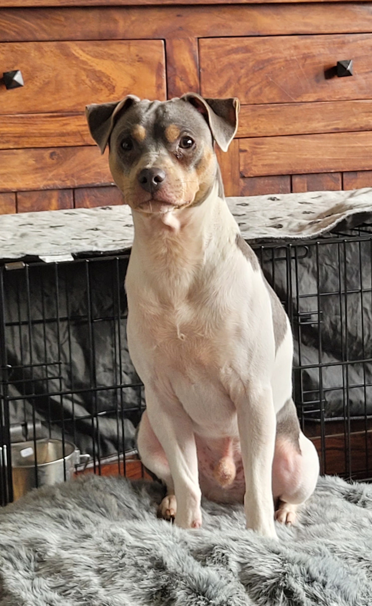 Livi’n On Love’s Vinni / Storm Livi’n On Love’s Vinni / Storm