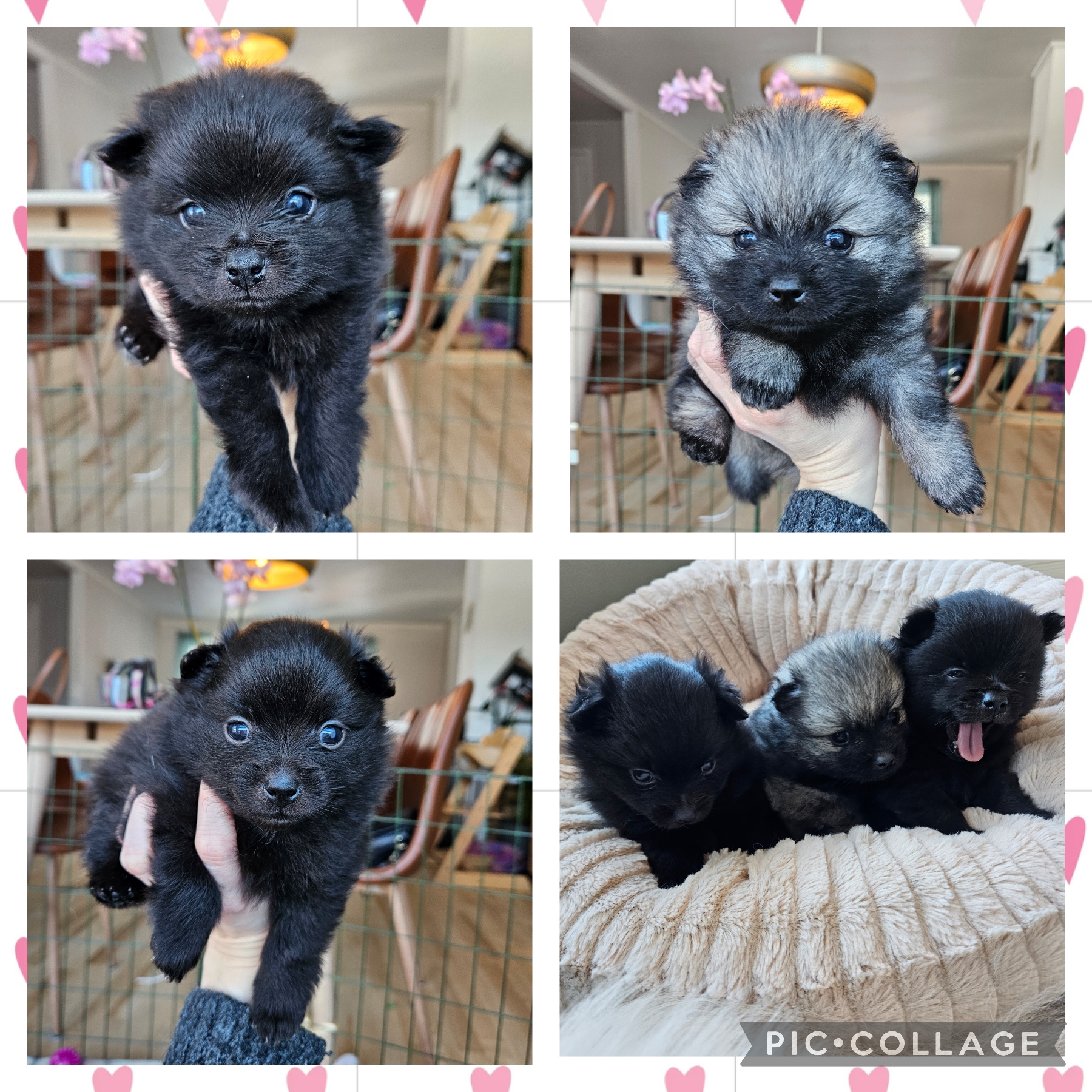 Katarina Zazinow Katarina Zazinow