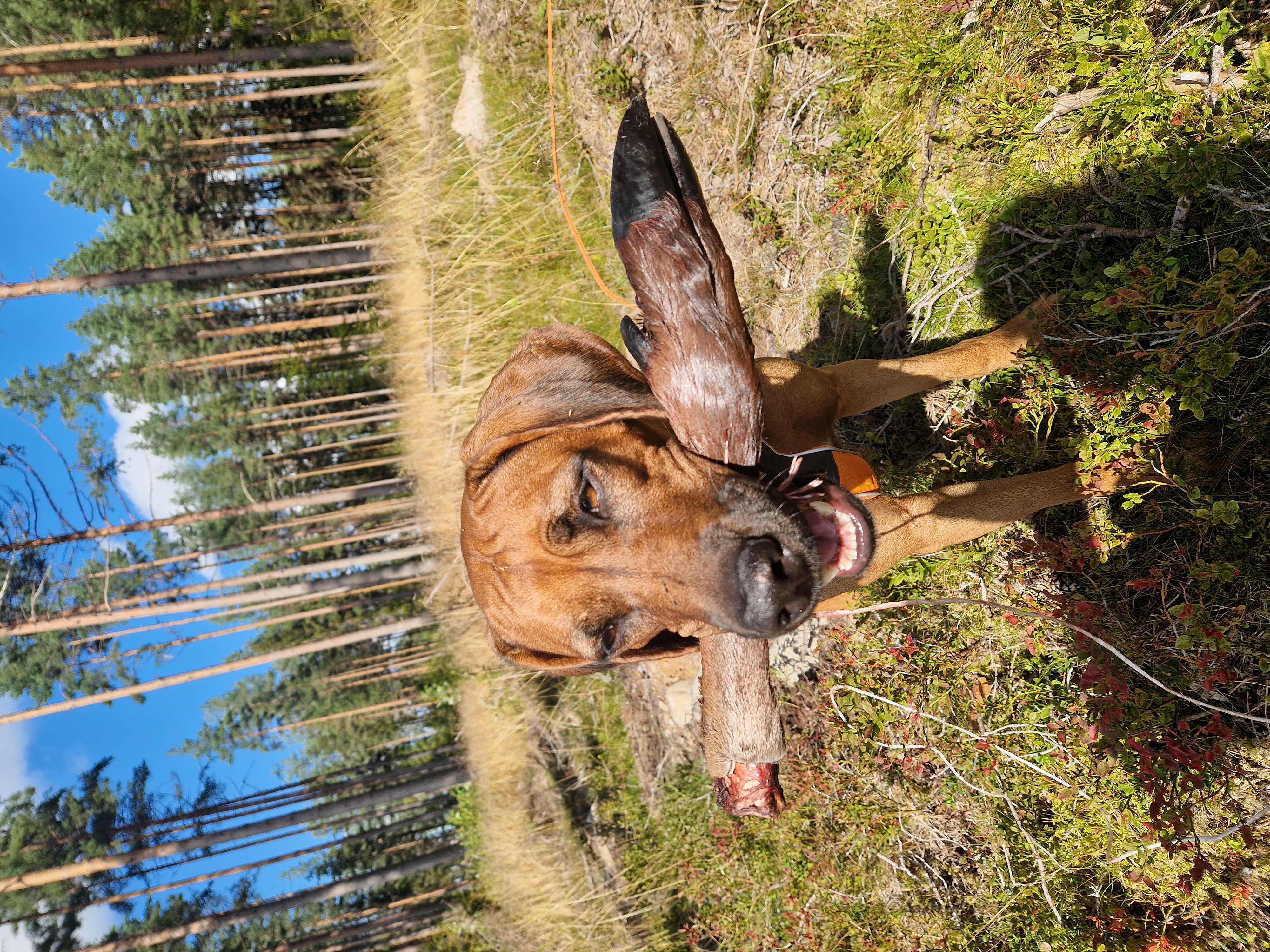 Anita Menkerud Anita Menkerud