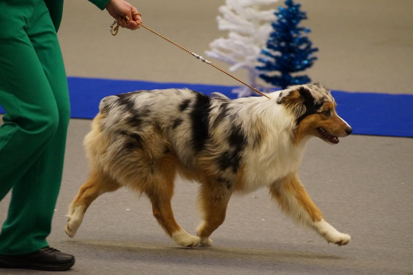 Blue Jewel Of Haliru Blue Jewel Of Haliru