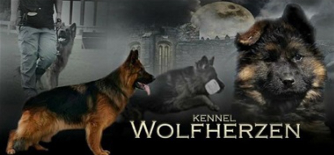 Wolfherzen Wolfherzen