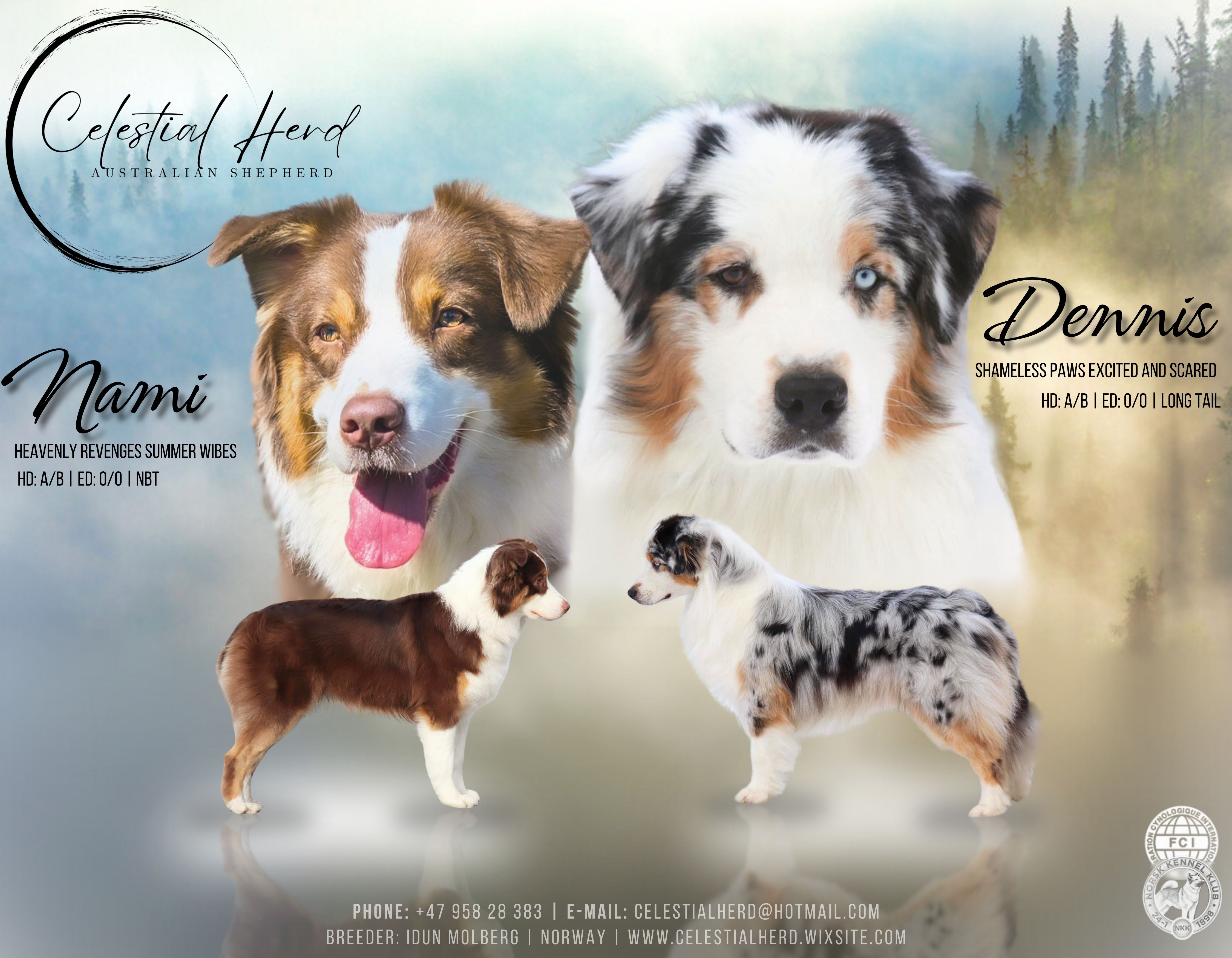 Kull A "Wedding Bells This Way" Kull A "Wedding Bells This Way"