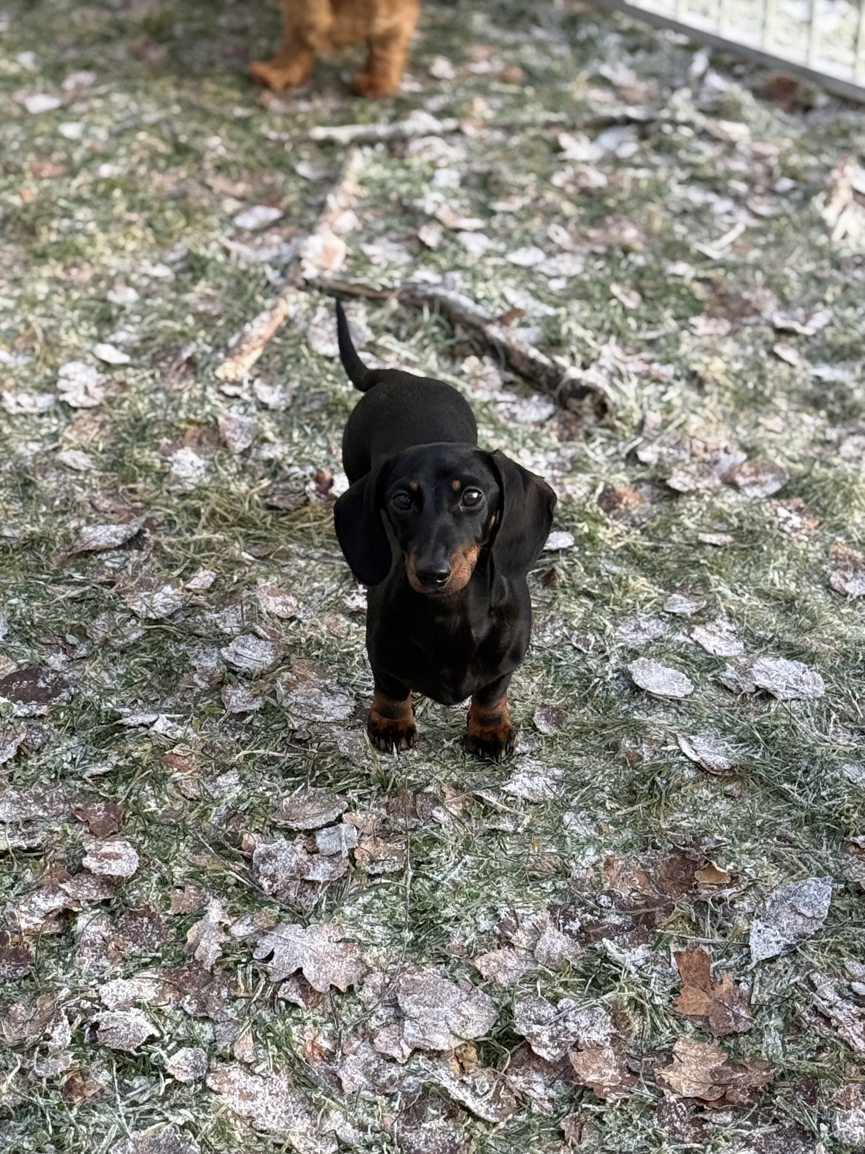 Minstemann’s Noora Minstemann’s Noora