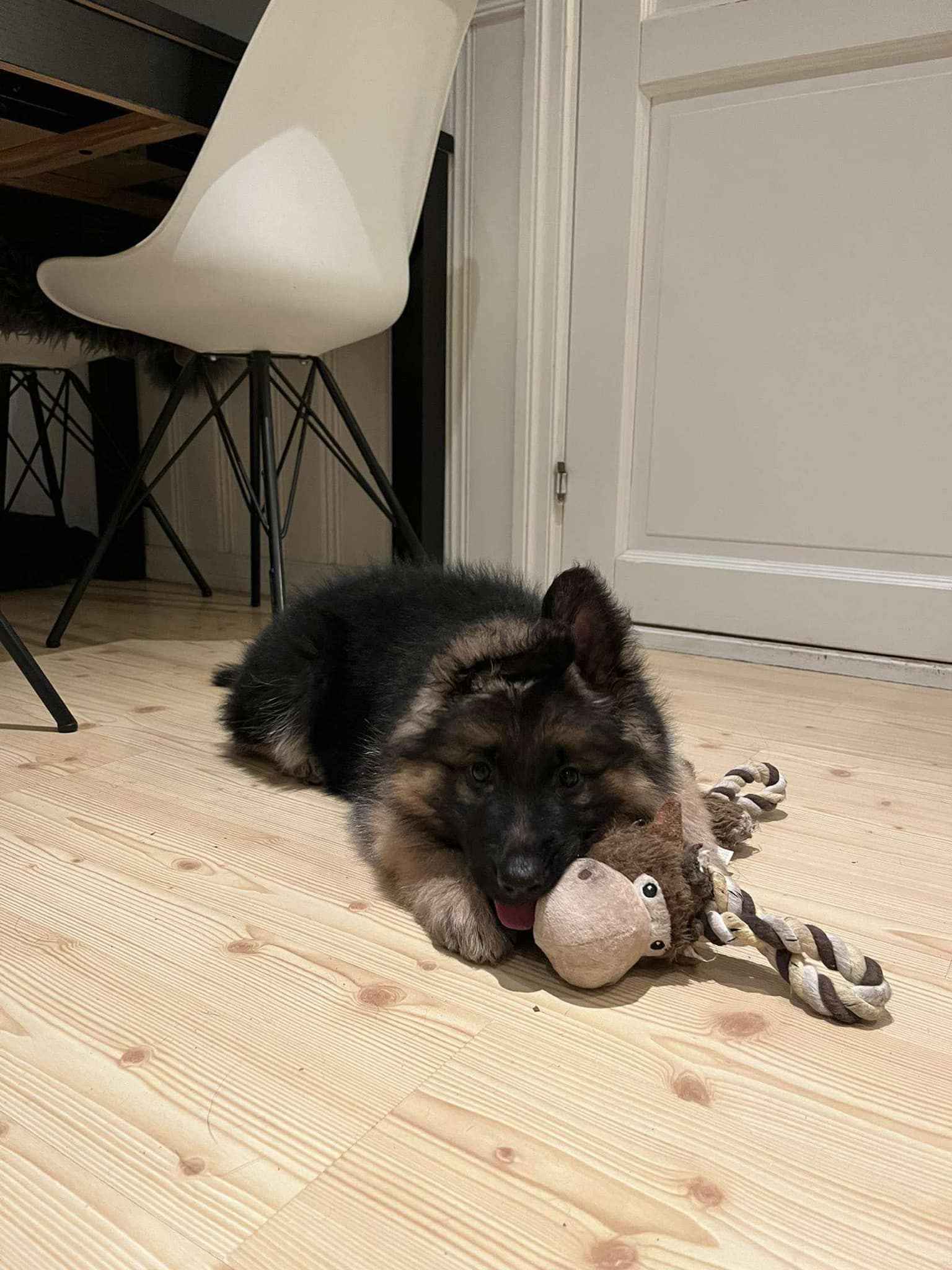 Skoglytrollets Gaby Skoglytrollets Gaby