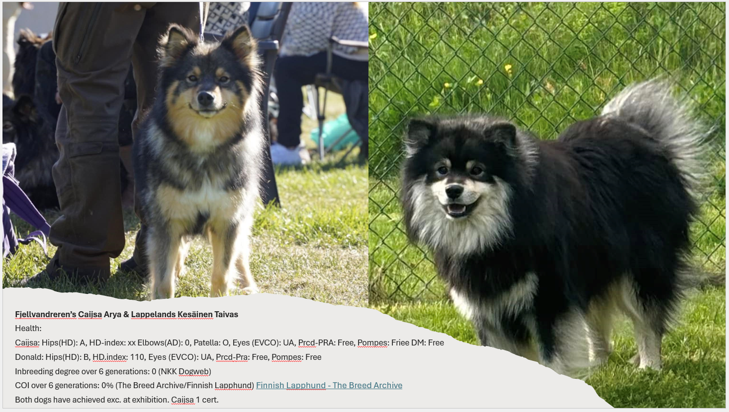 Fjellvandrerens F-kull